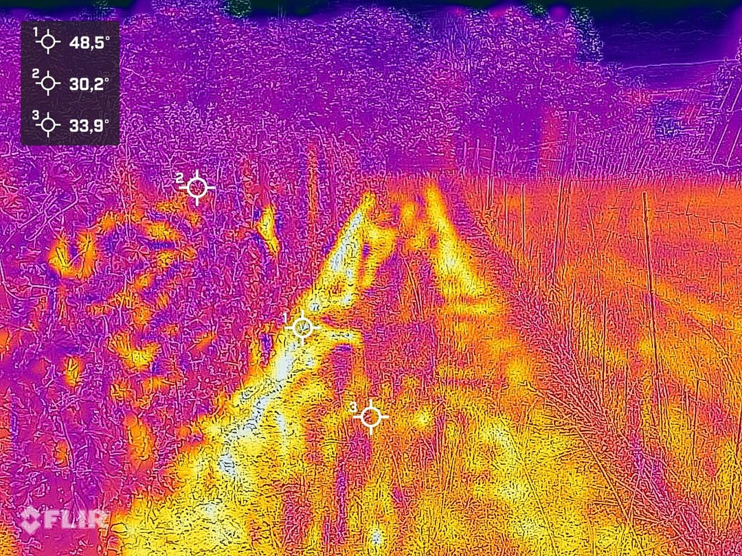☀️ L’importanza della gestione del vigneto nelle stagioni calde.
Il terreno scoperto si avvicina a 50 gradi, quello inerbito è 15 gradi più fresco.