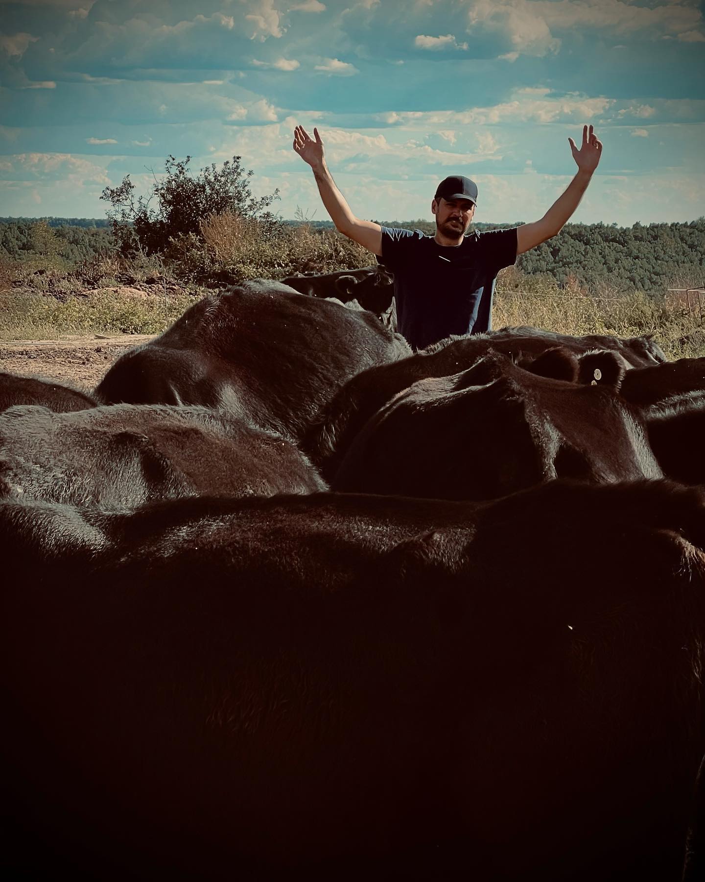 Proud to be raising 100 % grass-fed angus 🌱cattle in Romania🇷🇴 Country with wild nature 🌿🌳☘️, intelligent people, and where sustainability is still a common practise in every village and not just sound words written in newspapers. P.S pictures taken in October 🙂. #madeinromania #grassfed #Regenerative agriculture #slowliving #grassfedangus #farmlife #sustainability