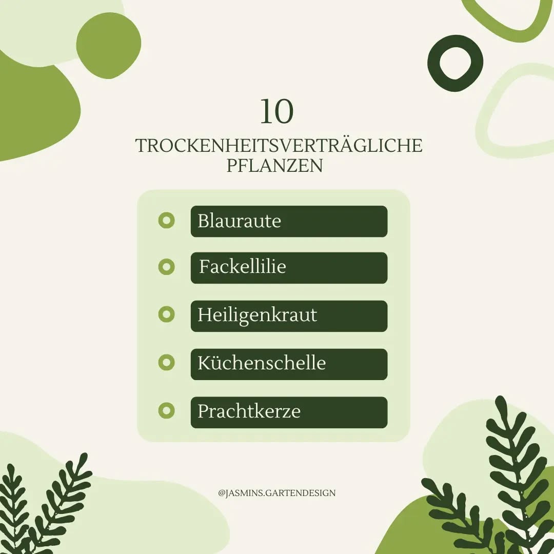 🌱 10 trockenheitsverträgliche Pflanzen 🌱
Durch die andauernde Hitze und Trockenheit ist es wichtig, sich mit dem Thema und der passenden Pflanzenauswahl zu befassen, um auch während dieser Zeiten einen ansprechenden und pflegeleichten Garten oder Balkon genießen zu können.
❔Hast du weitere Pflanzentipps oder sogar bereits in deinem Garten eingepflanzt ❔
.
.
.
.
.
.
.
.
.
.
.
.
.
.
#Landschaftsarchitektur #Landschaftsgestaltung #landscapedesign #Gartengestaltung #gardendesign #garteninspo #gartenjournal #gartenblog #gartenanlage #gartenplanung #gartentipps #grünanlagen #grünoase #grünerwohnen #grünimgarten #grünkonzepte #gestaltungstipps #gehölzeimgarten #staudenstattrasen #staudenkombinationen #pflanzentipps #pflanzenverwendung #pflanzenkombinationen #pflanzkonzepte #eigenheimundgarten #homeandgarden #traumgarten