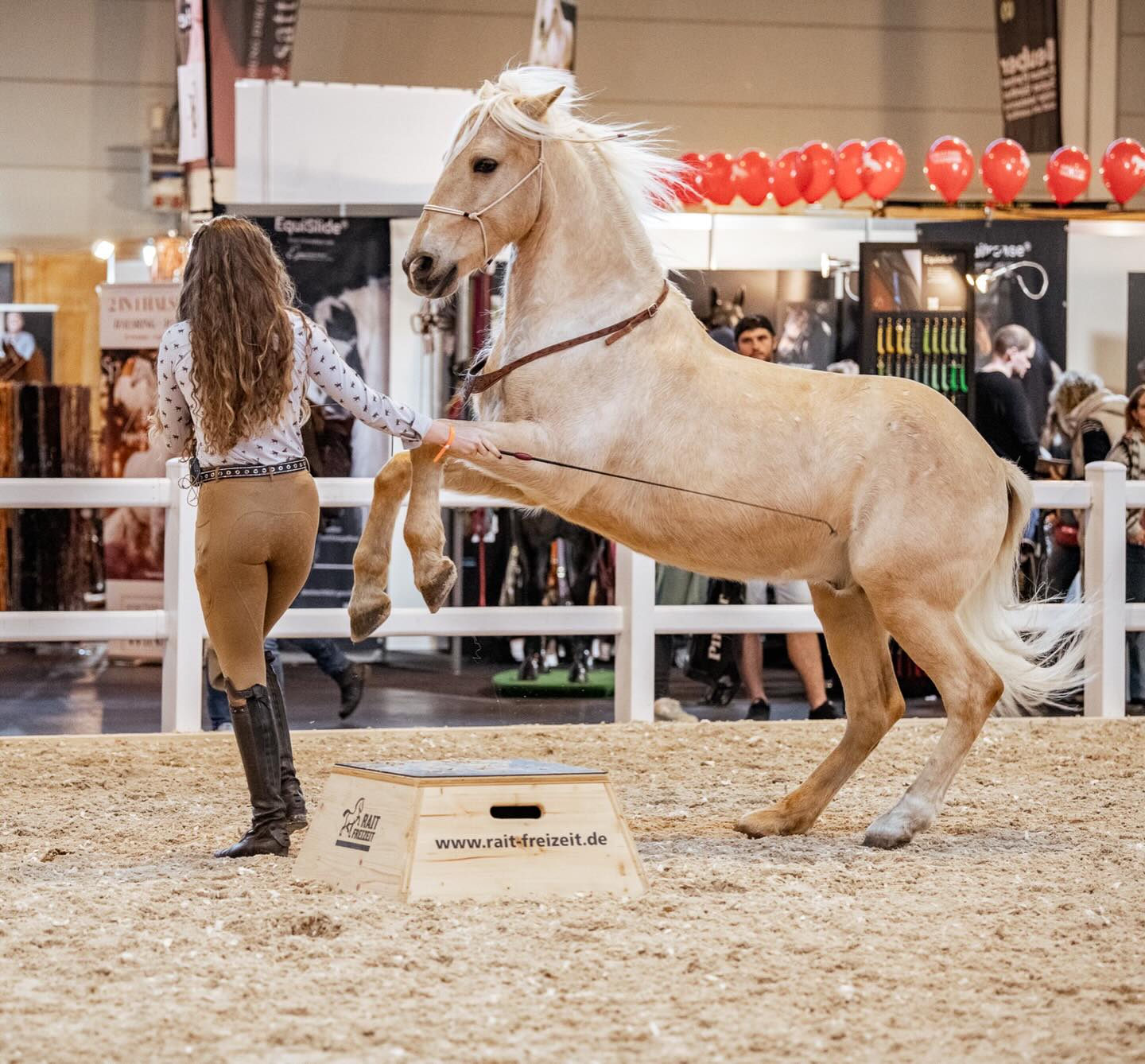 Versammelter Galopp auf der Pferd Bodensee. 🫶🏼
•
Das nächste Event steht schon bald an und ich freue mich riesig im April Teil von @stefanie.seebauer Seminar zu sein! Das ganze wird in Marbach auf dem Haupt - und Landesgestüt stattfinden und ich bin schon voller Vorfreude! 😍
•
Zu Happy’s bevorstehender OP weiß ich leider selbst noch nicht mehr… ansonsten hätte ich euch diesbezüglich schon etwas berichtet! Ich hoffe ich bekomme ganz bald eine Rückmeldung. 🙏🏻