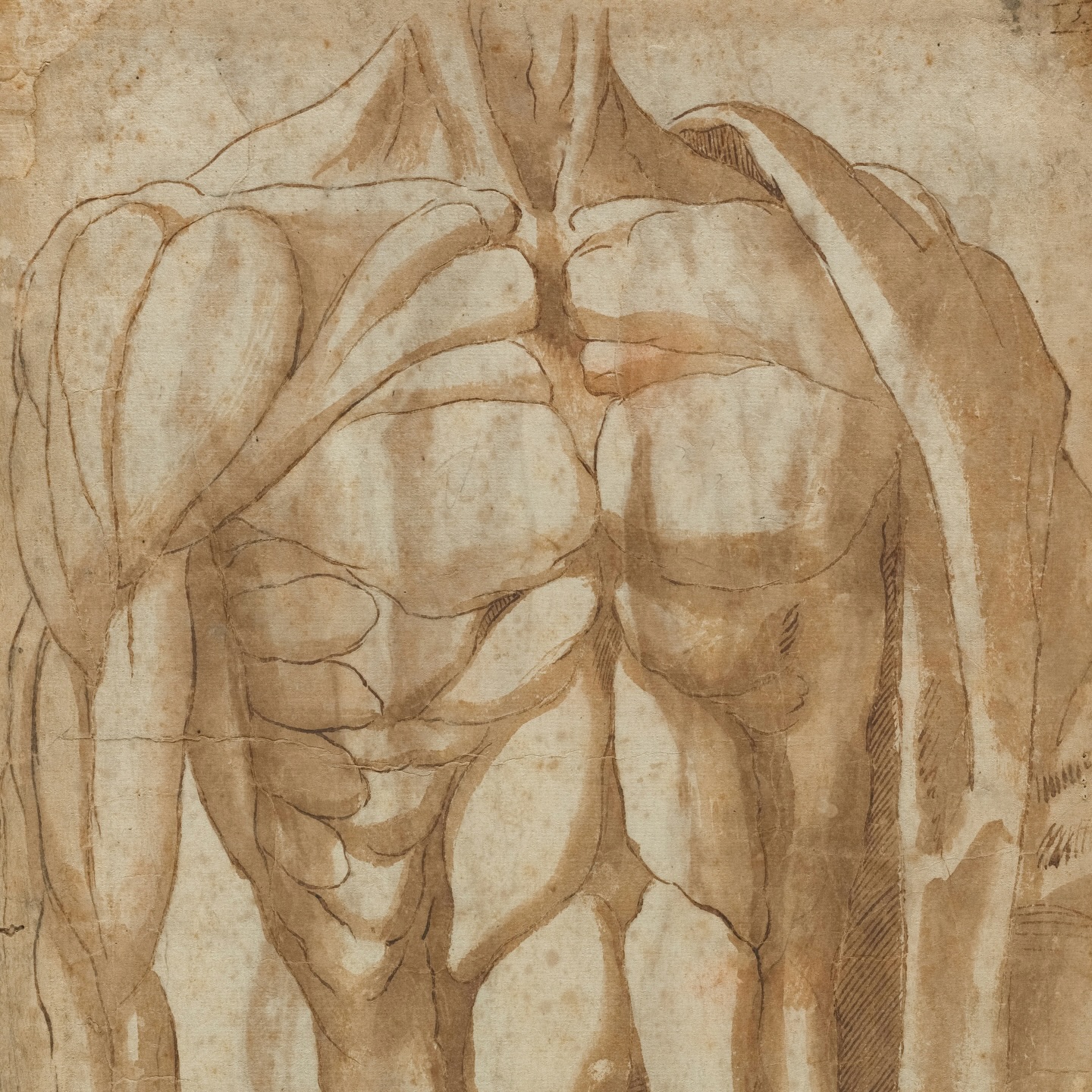 La respiration ne ment pas.
Elle arrive là où tu ne regardais plus. Dans cette épaule que tu portes trop haut depuis des années. Dans ce ventre que tu retiens sans t’en rendre compte. Dans ces jambes figées qui attendent qu’on leur donne la permission de lâcher.
Moi, elle m’a montré des endroits de mon corps que je croyais connaître. Des tensions que j’avais normalisées. Des douleurs que j’avais appris à contourner plutôt qu’à traverser.
Je ne sais jamais à l’avance ce que le souffle va révéler, ni pour moi, ni pour toi. Mais je sais qu’il va quelque part là où c’est juste.