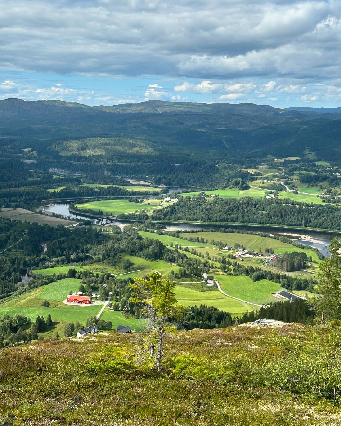 God turmuligheter! 🌳