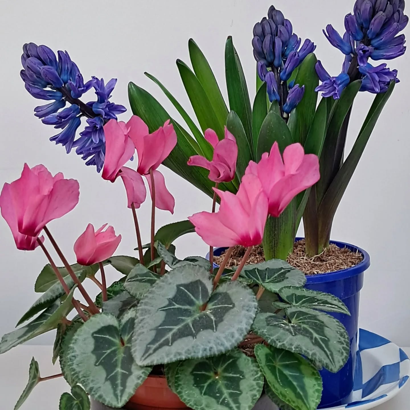 Happy Mother's Day to all mums #happyplace #happymum #mother #motherhood