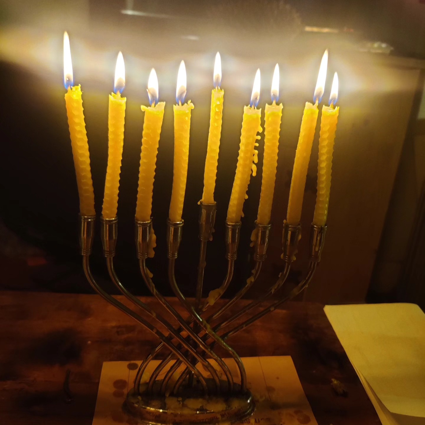 Blossom says "Chag sameach".