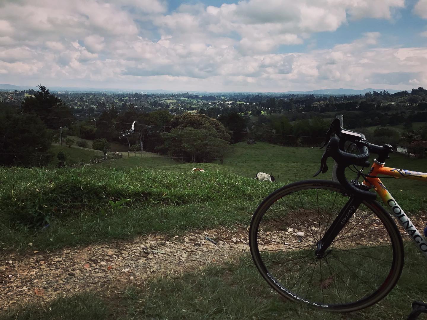 Blue skies ☀️🚲⛰
•
•
•
•
•
#cyclingculture #insearchofup #cyclingmemories #roadcyclingpics #ridelots #lifebehindbars #roadporn #whyiride #roadslikethese #cyclingporn #fromwhereiride #beautyofcycling #cyclingphotography #whereiride #outsideisfree #wymtm #switchbacks #instaroads #mountainpass #fromwhereweride #cyclingadventures #roadcyclist #cyclingshots #roadstotravel #mountainphotography #roadstoride #natgeotravels #cyclingtour #cyclingholidays #cyclingaddict