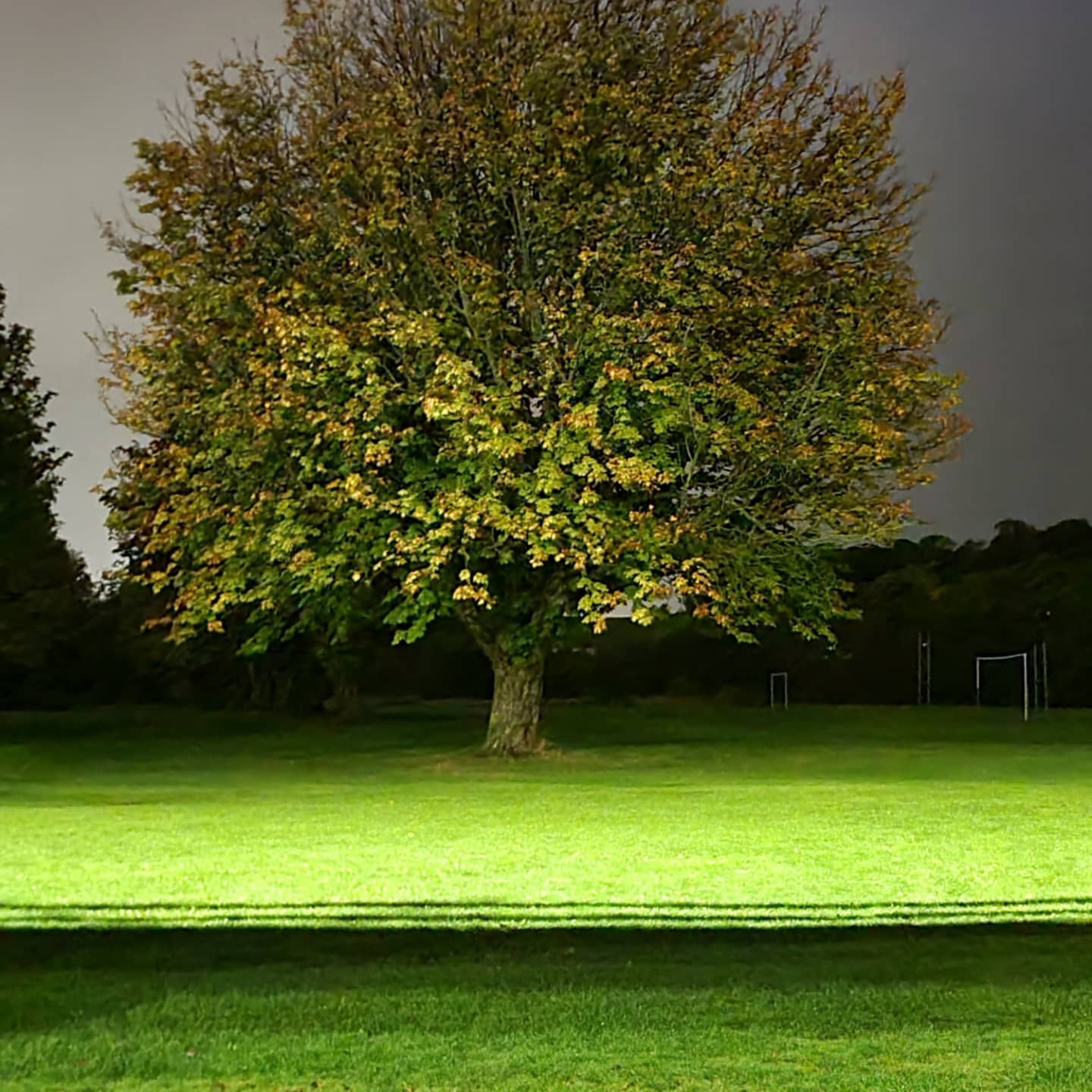 The diffrence a few weeks make