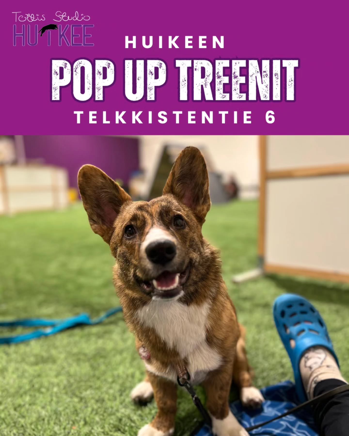 💜 HuiKeen POP UP-treenit 💜
Irtotreenejä tarjolla! Nämä treenit on sinulle, joka et voi sitoutua pidempiin kursseihin tai haluat tulla tutustumaan halliin, meihin tai eri lajeihin 😍 Treenit HuiKeen hallilla osoitteessa Telkkistentie 6, 70460 Kuopio.
🟣 Treeneissä pääset harjoittelemaan erilaisia tehtäviä treenin aiheen mukaisesti. Nämä treenit sopii kaikille koirakoille niin arjenaktivointiin kuin harrastuskoirien häiriö/lajiharjoitteluna riippuen ryhmästä. Treenit sopii kaiken ikäisille ja rotuisille koirille aloittelijoista kokeneempiin, jos treenin perässä ei ole erikseen muuta mainittu! Meillä kaikki harjoitukset tehdään sekä muokataan osallistuvien koirakoiden tason ja tavoitteiden mukaan.
🟣 Treeneissä koirat treenaa yhtäaikaa ja tarvittaessa sekä kerran aiheen mukaan voidaan hallia/tilaa rajata. Nämä treenit toimivat siis myös hyvänä häiriöharjoitteluna. Huolehdithan kuitenkin, että koiran rokotukset tulee olla voimassa.
✨️ MAALISKUUN TREENIT ✨️
SUNNUNTAINA 15.3.2026
💜 klo.13-14 - Pentujen JATKO
💜 klo.14.15-15 - PentuEskari
SUNNUNTAINA 22.3.2026
💜 klo.13-14 - Pentujen JATKO
💜 klo.14.15-15 - PentuEskari
KESKIVIIKKONA 25.3.2026
💜 klo.20-21 Näyttelytreenit
SUNNUNTAINA 29.3.2026
💜 klo.13-14 - Pentujen JATKO
💜 klo.14.15-15 - PentuEskari
⭐️ Paikkoja eri tunneille
⭐️ Myydään irtokertoina 25€/kerta
⭐️ Pieni ryhmäkoko takaa jokaiselle reilusti henkilökohtaista ohjausta!
Ilmoittautumaan pääset suoraan ajanvarausjärjestelmämme Slotin kautta. Alla on linkki sekä kotisivujemme kautta pääset Slottiin.
🟣 ILMOITTAUDU MUKAAN
https://slotti.fi/booking/tottisstudiohuikeeoy/#/
www.tottisstudiohuikee.fi
Tervetuloa mukaan! ❤️✨️