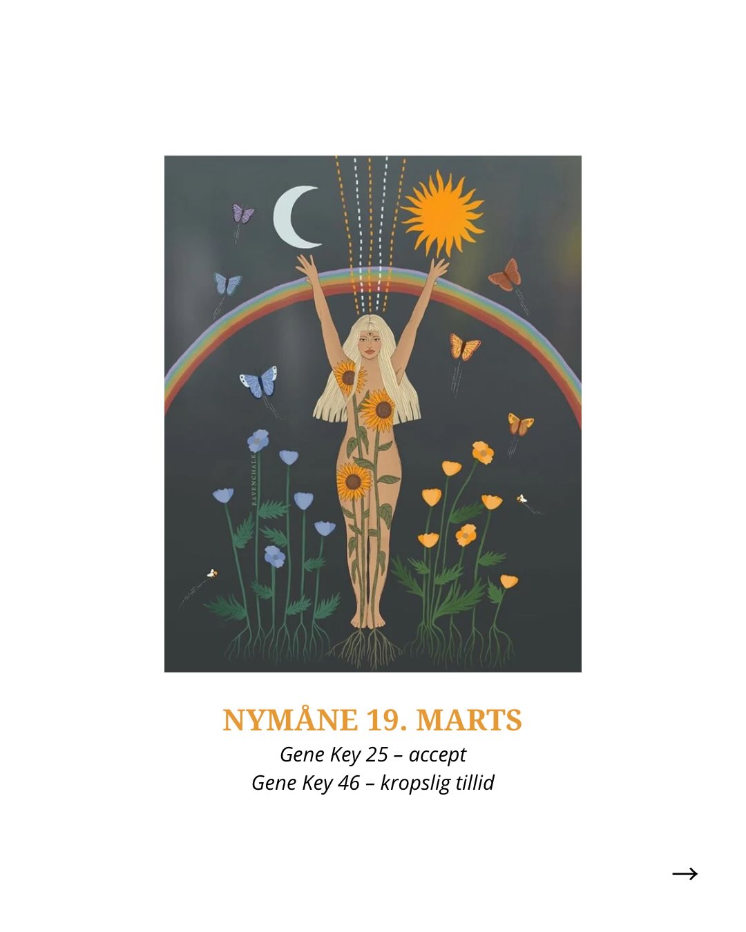 Ved nymånen den 19. marts bevæger Solen sig gennem Gene Key 25, mens Jorden står i Gene Key 46. Sammen skaber de et felt omkring hjertets åbenhed og kroppens iboende tillid til livet.
25 GK kaldes ofte nøglen til universel kærlighed. I sin skygge kan denne energi dog vise sig som en form for indsnævring – et behov for at beskytte sig, holde fast eller forsøge at kontrollere udfaldet af livet for at føle sig tryg.
Gaven i denne nøgle er accept, som er en energi, der handler om:
* at give slip på beskyttelsesmekanismer
* at møde livet uden rustning
* at lade hjertet være åbent igen
Accept betyder ikke, at vi skal godkende alt. Det betyder at give slip på forestillingen om, at livet skal formes sig efter vores plan for at kunne være godt.
Og i det felt kommer 46 GK ind som jordens modpol. Denne nøgle handler om kroppens intelligens og om at føle sig veltilpas i sin krop. Hvor 25 GK åbner hjertet, minder 46 GKos om, at tillid ikke kun er en mental beslutning – den skal også mærkes i kroppen.
Når vi slipper behovet for at kontrollere livets bevægelser, kan noget andet ske: kroppen slapper af. Vi opdager måske, at livet allerede bærer os, og at synkronicitet – og overraskelser – begynder at vise sig.
Denne nymåne kan derfor være en invitation til at spørge sig selv:
– Hvor i mit liv holder jeg fast i noget, mest fordi det engang havde betydning?
– Hvad sker der i kroppen, hvis jeg tillader situationen at være, som den er?
– Kan jeg give slip på behovet for at forstå eller kontrollere det hele lige nu?
Nogle afslutninger sker stille.
Nogle erkendelser kommer først, når vi giver dem plads.
Kærligst,
Pernille🧡
Ps. Dette nymåneopslag er den første i rækken af nymåne- og fuldmåne updates, jeg vil begynde at poste på denne profil - med udgangspunkt i Gene Keys-visdommen og de 64 nøgler, som Solen aktiverer gennem zodiakken i løbet af året.
______________________________________
#46genekey #25genekey #nymåne #kærlighed #synkronisitet