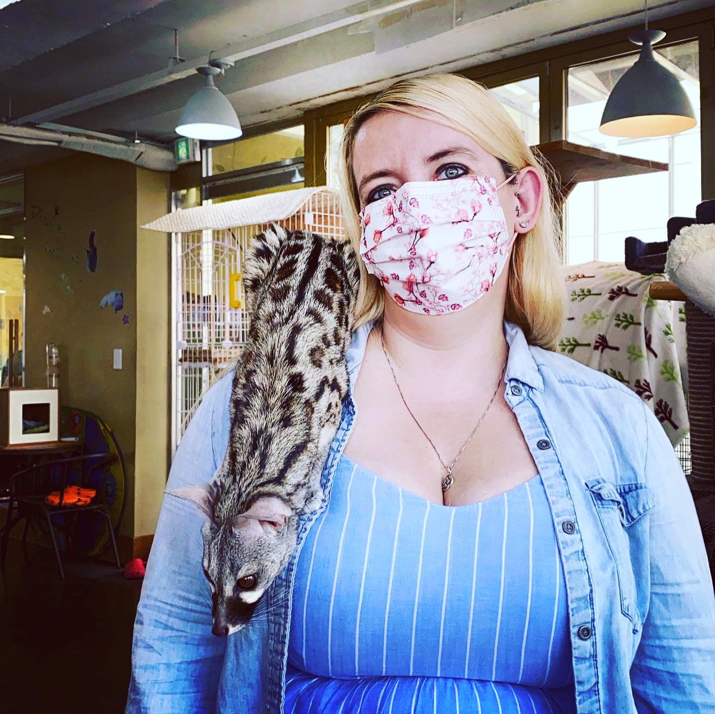 Looking for a unique cafe experience in Seoul?! Visit Meerkat Friends in Mapo! I got to meet the most adorable animals including a wallaby, meerkat, raccoon 🦝 and a Jennet! #meerkatfriends #seoulcafe #expatlife #travelblogger