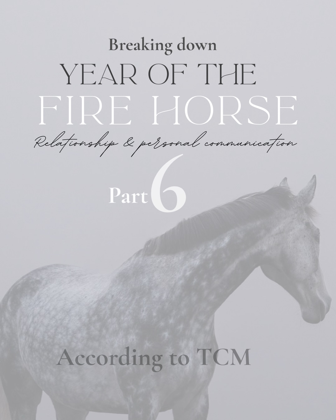 This is the last piece and episode that will conclude our 6 part miniseries of the YEAR OF THE FIRE HORSE according to TCM. In this last piece we are focusing on the topic of relationships and personal communication.
Feel free to head over to our IG profile to save all 6 parts so that you can go back to read them and if need be, remind yourself throughout this year of the fire horse đ€
âą
âą
âą
#yearofthefirehorse #yearofthehorse #tcm #tcmlivingwell #örtriket