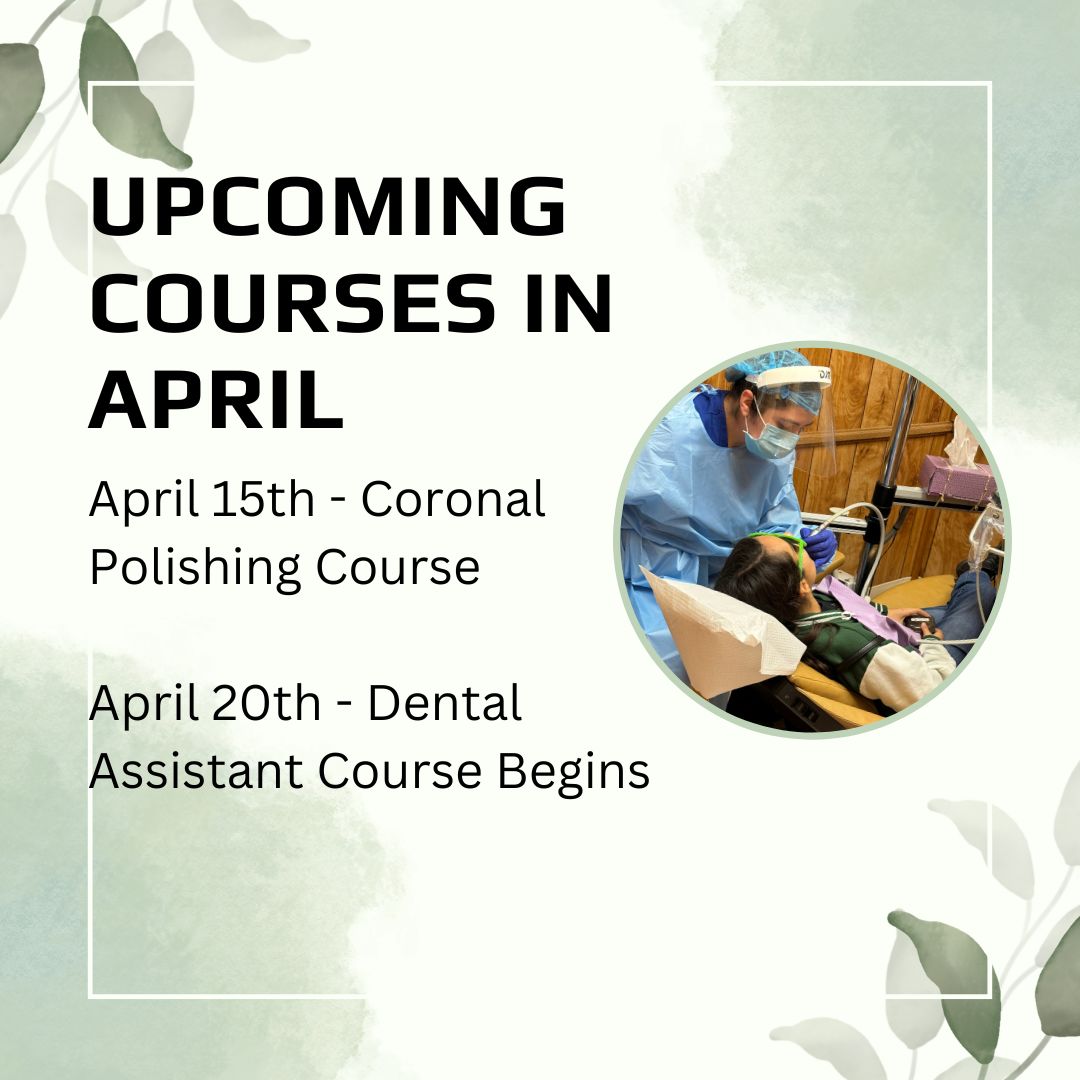 Improve your dental skills and register for any of our upcoming courses for April! All classes are held in person for more information please DM us!
#dentist #dental #dentalschool #daschool #cpr #xray #infectioncontrol #december #school #vocationalschool