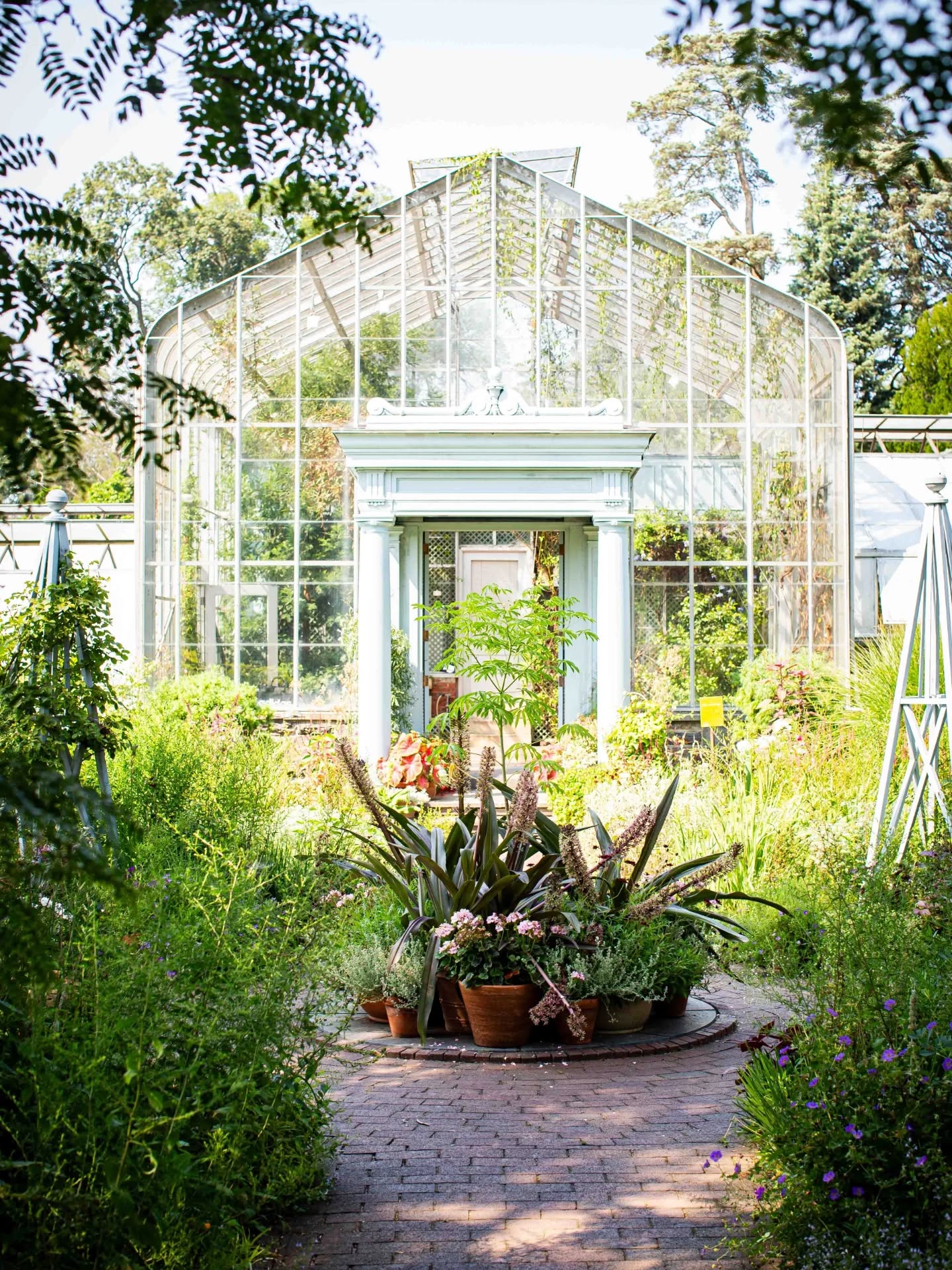 You're sounding like my favorite colors.
#wavehill #yonkersny #cacti #succulents #greenhouselife