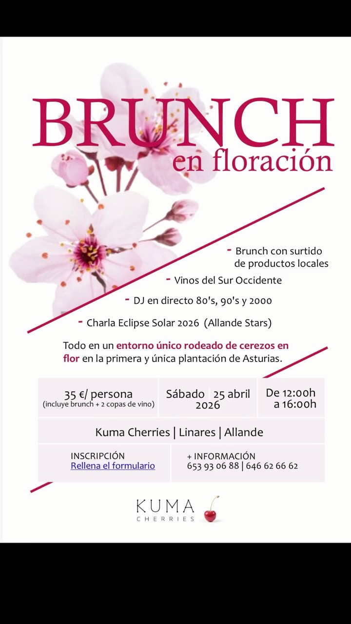 1er BRUNCH EN FLORACIÓN Kuma Cherries. Inscripciones en el link de nuestra portada!! #allande #cangasdelnarcea #suroccidentedeasturias #cerezas #cherryblossoms