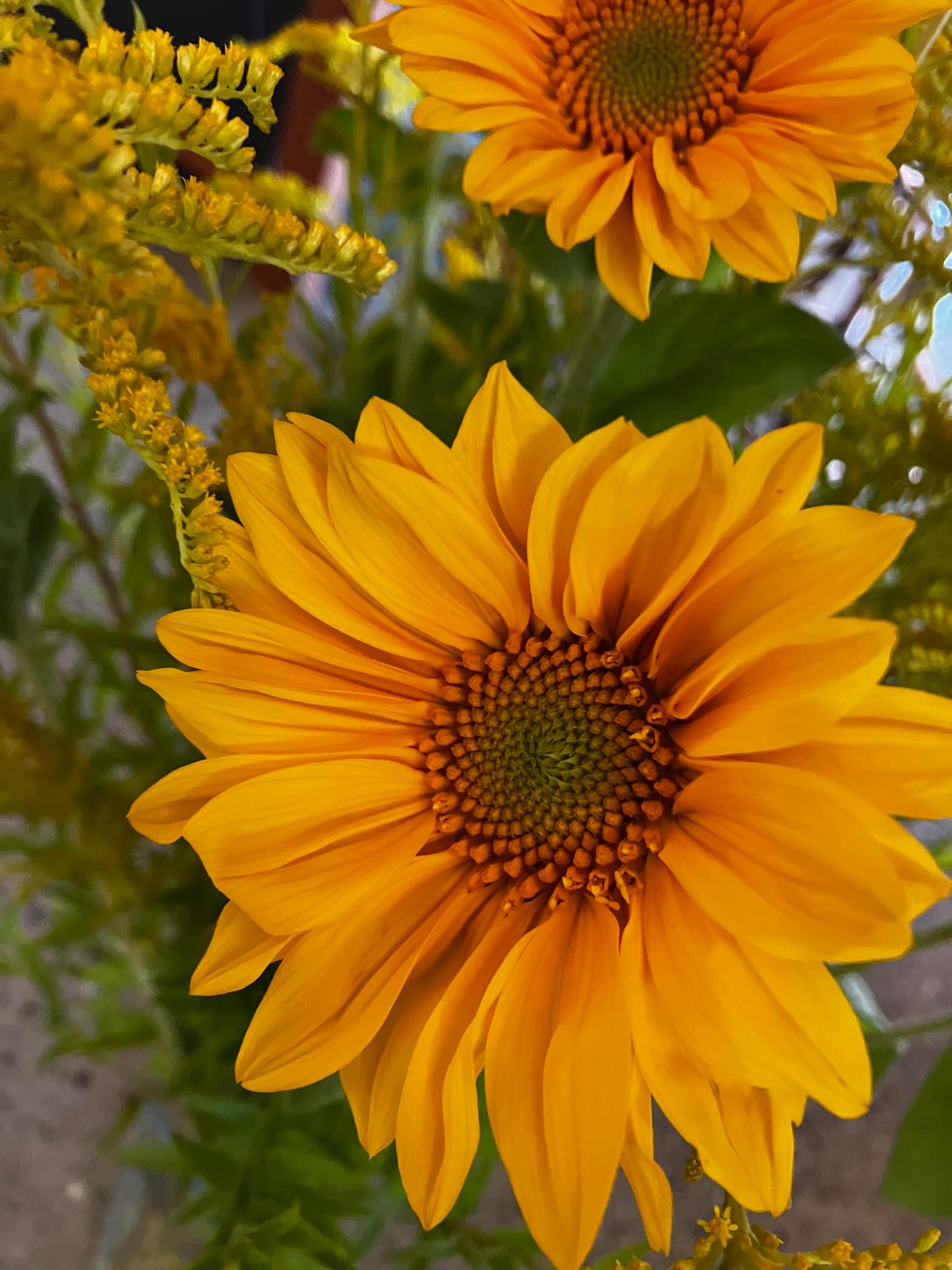 Amazing to be able to buy beautiful flowers direct from a local grower. #scrubbygullyflowers #alexandra #sunflowers #centralotago