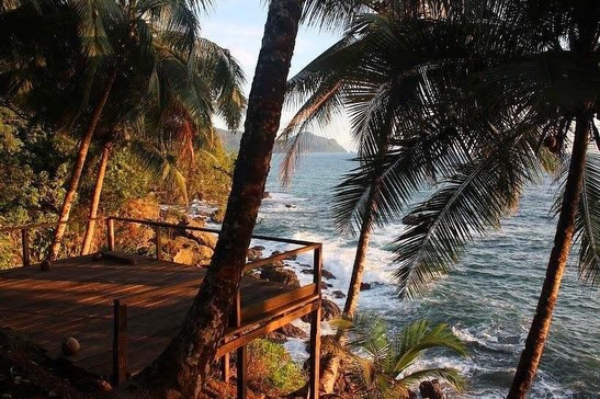 Los decks de avistar o de las vistas relajar. 🪬
Diferentes vistas, avistamientos, y relajamientos en Punta Brava.
#pacífico #nuquí #colombia🇨🇴