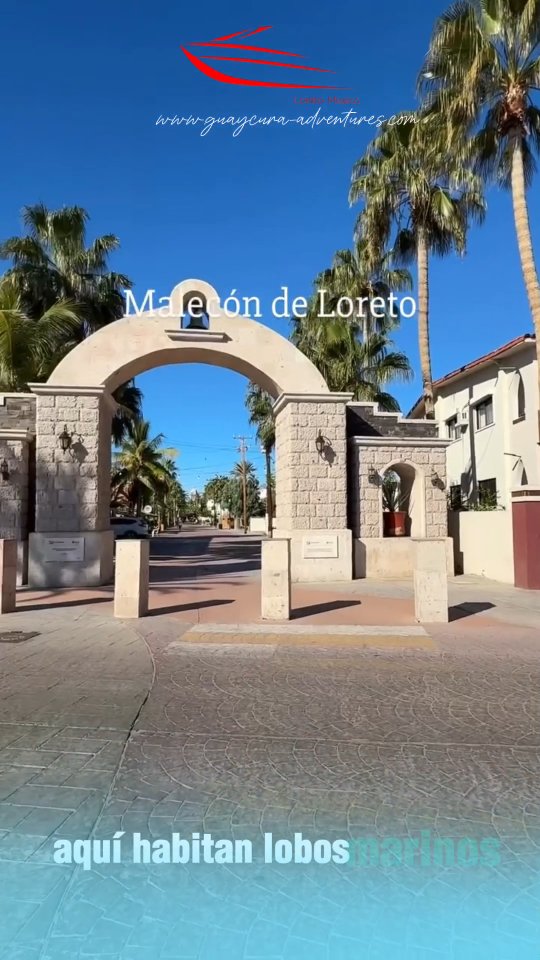 Mucho antes de convertirse en un destino de ensueño, Loreto fue el punto de partida de la historia en la península de Baja California Sur.
• Aquí, donde el desierto se encuentra con el mar, nació la primera misión de las Californias, marcando el inicio de un legado cultural que aún vive entre sus calles, sus islas y sus aguas llenas de vida.
• Hoy, ese mismo mar guarda otro tipo de historia: ballenas que migran miles de kilómetros 🐋, ecosistemas únicos y paisajes que parecen intactos desde hace siglos.
Explorar Loreto no es solo viajar… es conectar con la historia de la naturaleza y del ser humano en uno de los rincones más extraordinarios del planeta.
🌊 Vive esta experiencia con Guaycura Adventures
🎟️ Obtén 10% de descuento con el código: 4MTR4
🔗 https://www.guaycura-adventures.com
El mundo es grande… pero hay lugares que lo cambian todo. Este es uno de ellos.
#TravelTheWorld #NatureLovers #WhaleWatching #MexicoTravel #adventureawaits