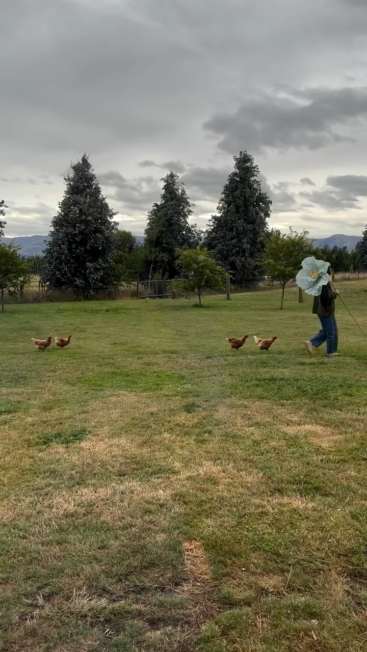 Trying to catch those camera angles