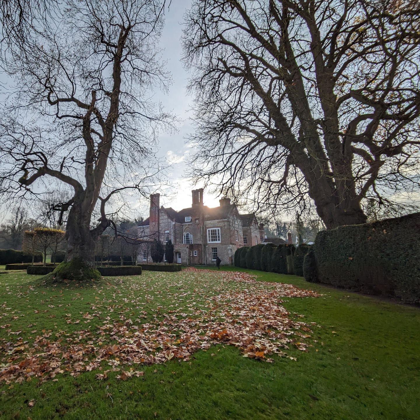 These photos were taken in December when we finally finished leaf-blowing all the leaves in a client's garden ( and it took some doing! ).
#bloomsford #gardening #gardenlife #gardenlove #garden #meonvalley #outdoors #gardenersworld #autumn #autumvibes #nature #bloomsfordgardening #gardenmaintenance #leaves