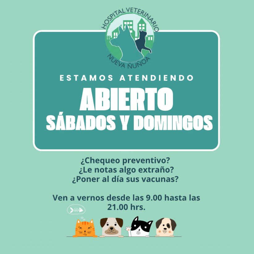 ☀️ A veces, en la semana es difícil hacernos un tiempo y vamos postergando los controles preventivos, las vacunas o la desparasitación de nuestros compañeros 🐈⬛ 🐶
.
Ven a vernos durante el fin de semana y ponte al día con los cuidados de tu familia animal.
.
¡Los esperamos!
.
#veterinaria
#perros
#gatos
