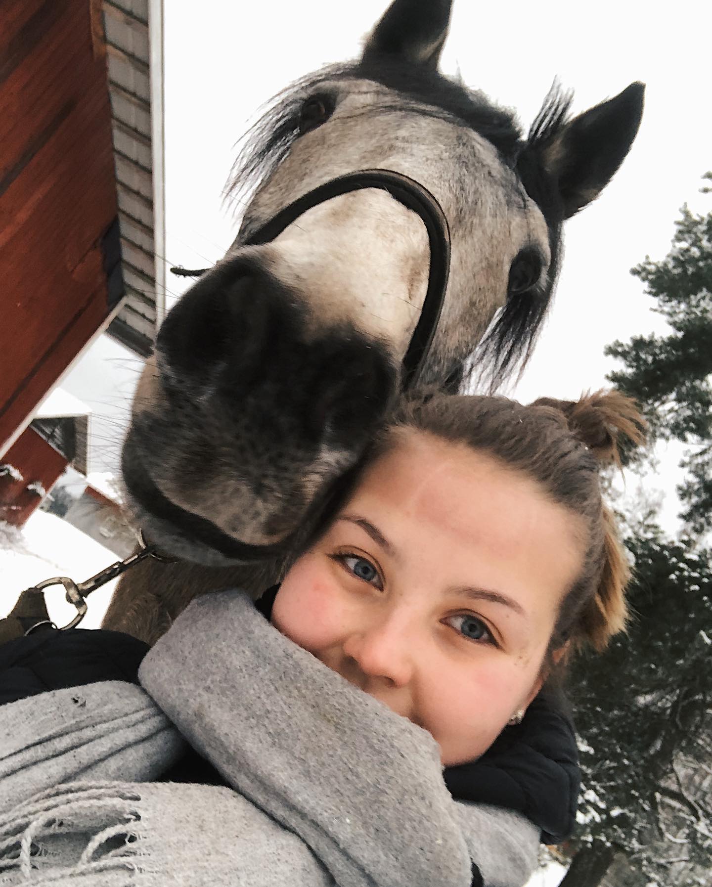 Tän vuoden ratsastukset oli hyv