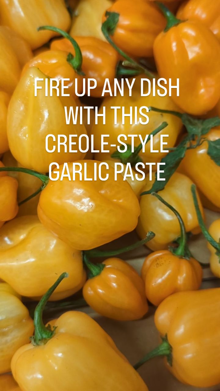 Shop the Drop - We have launched a fresh batch of our Creole Spice Garlic Paste on our website, available to be shipped directly to your door!
We partnered with Elsie of @creolemeup to create this kickin' paste that adds the perfect amount of spice to any dish.
Only available online and at local markets with limited inventory so order yours now at garlikipaste.com