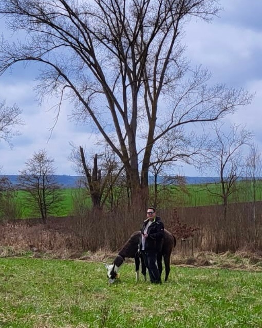 🦙
Liebe Grüße von unserer heutigen Tour 🚶♀️🦙🤗
Da war was los 😁
Wir Lamas nutzten das Gebüsch für eine feine Wellnessanwendung und mit Hugo müssen wir nochmal über seine Vorlieben bezüglich seines Styles reden😅
Der Kerl hat sich kurz vorm Stall nochmal schön in Kletten gebadet 🤦♀️
Zusammen kann man was erleben!
Schön, dass ihr da wart!
Beste Grüße,
🦙die Jungs 🫶
#wandernmachtglücklich #lamas #selztallamas #rheinhessen #frühling