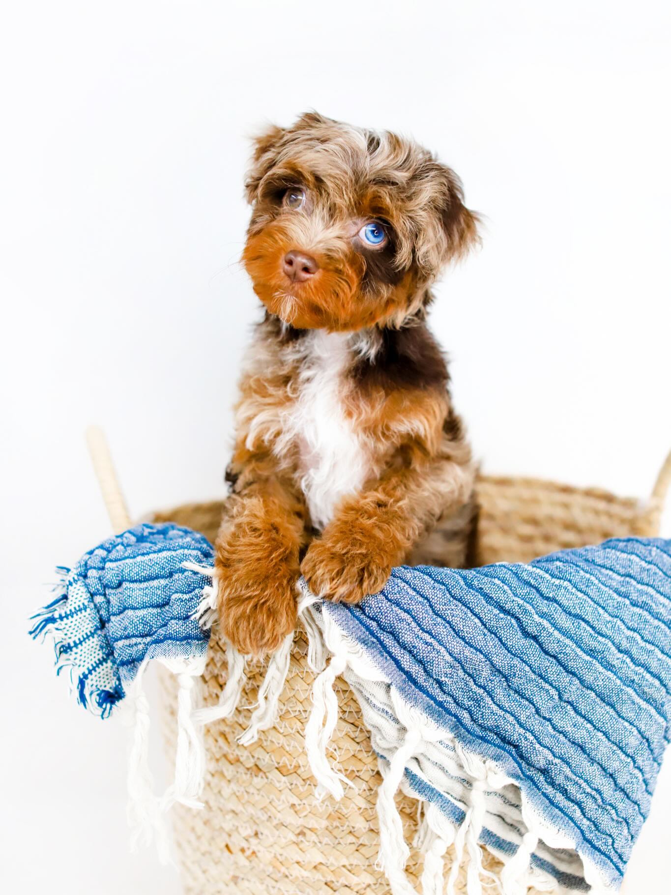 Weโre obsessed with you, Teddy! ๐งธ