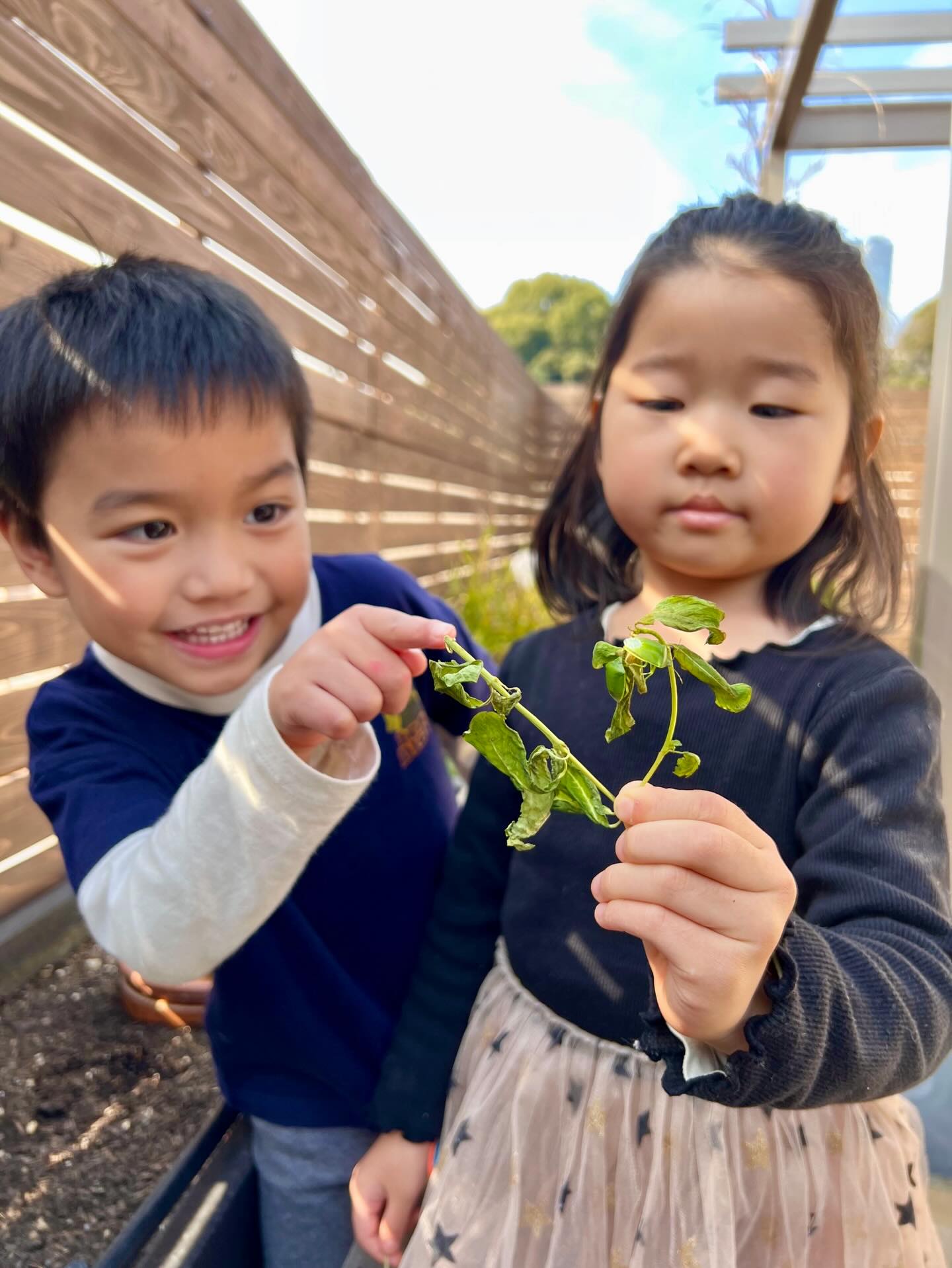 With each change in season, our garden becomes a classroom. Observing small shifts in weather, soil, and plant life connects children to the rhythms of nature.
Save for outdoor inspiration!