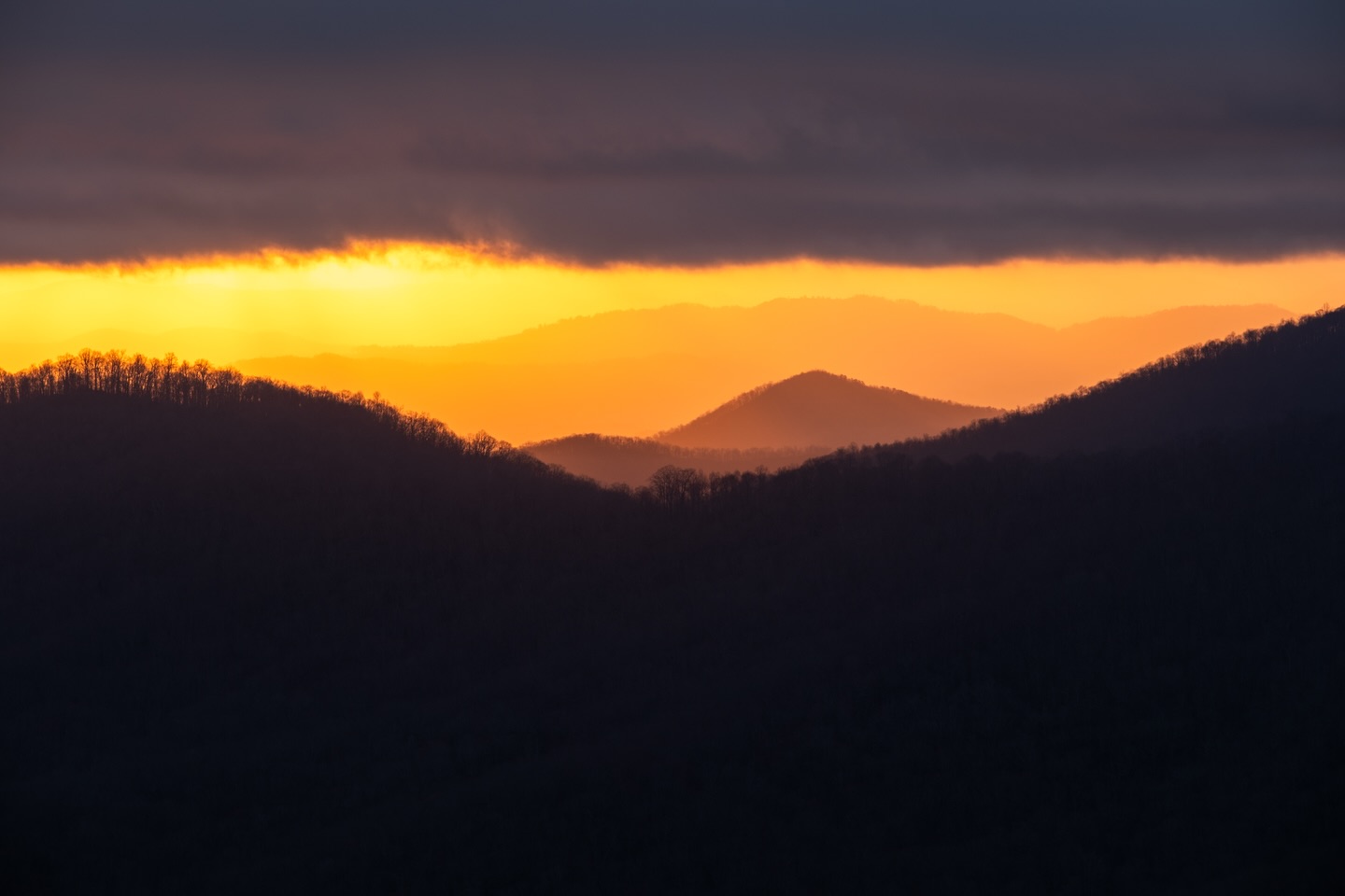 This mornings sunrise from the Blue Ridge Parkway in Western North Carolina was amazing.
Camera: FujiFilm XT-5
Lens: FujiFilm 50-150 f2.8
Tripod: 3 Legged Thing
No filter
#fujifilmx_us #photography #sunrise #landscapephotography #blueridgeparkway