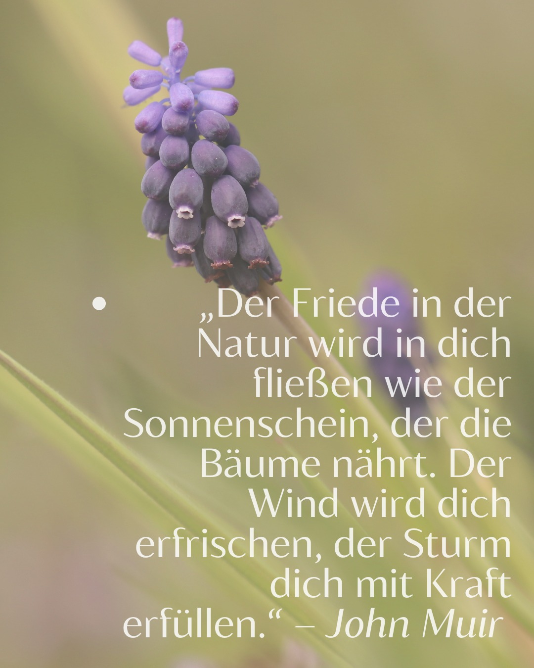 Ja, das wird spürbar im botanischen Malen nach Alexander von Humboldt.
Gleichzeitig bebt die KRAFT der Evolution im botanischen Malen und wirkt somit auch in dir. 🐸🐣🌱
In der Natur herrschen ursprüngliche Gesetzmäßigkeiten. Nichts macht sie vergeblich. Alles hat eine tiefere Bedeutung, aus der wir lernen können und die uns voranbringt.
Über das Malen lernst du diese Gesetzmäßigkeiten kennen und mit ihnen umzugehen, auch in deinem Alltag.
- Auf eine spielerisch Art und Weise befassen wir uns mit Leben, Tod und der Vergänglichkeit.
- Wir bauen unnütze Muster, wie übertriebenen Perfektionismus, Leistungsdruck und Glaubenssätze ab, die nichts mit unserer wahren Natur zu tun haben. Lernen kleine und große Hürden zu meistern und zu lieben... und noch soviel mehr. 😍
Im botanischen Malen nach Alexander von Humboldt erlebst du die Polarität von Leben und Evolution gekoppelt mit einer großen Portion Menschlichkeit. 😊
Du brauchst dich nur darauf einlassen und mutig sein, Neues zu wagen. ❤️
#vondernaturlernen
#botanischmalen
#pingerevita
#kraftundenergietanken
#regeneration
#burnoutprophylaxe
#10von10showuprevolution