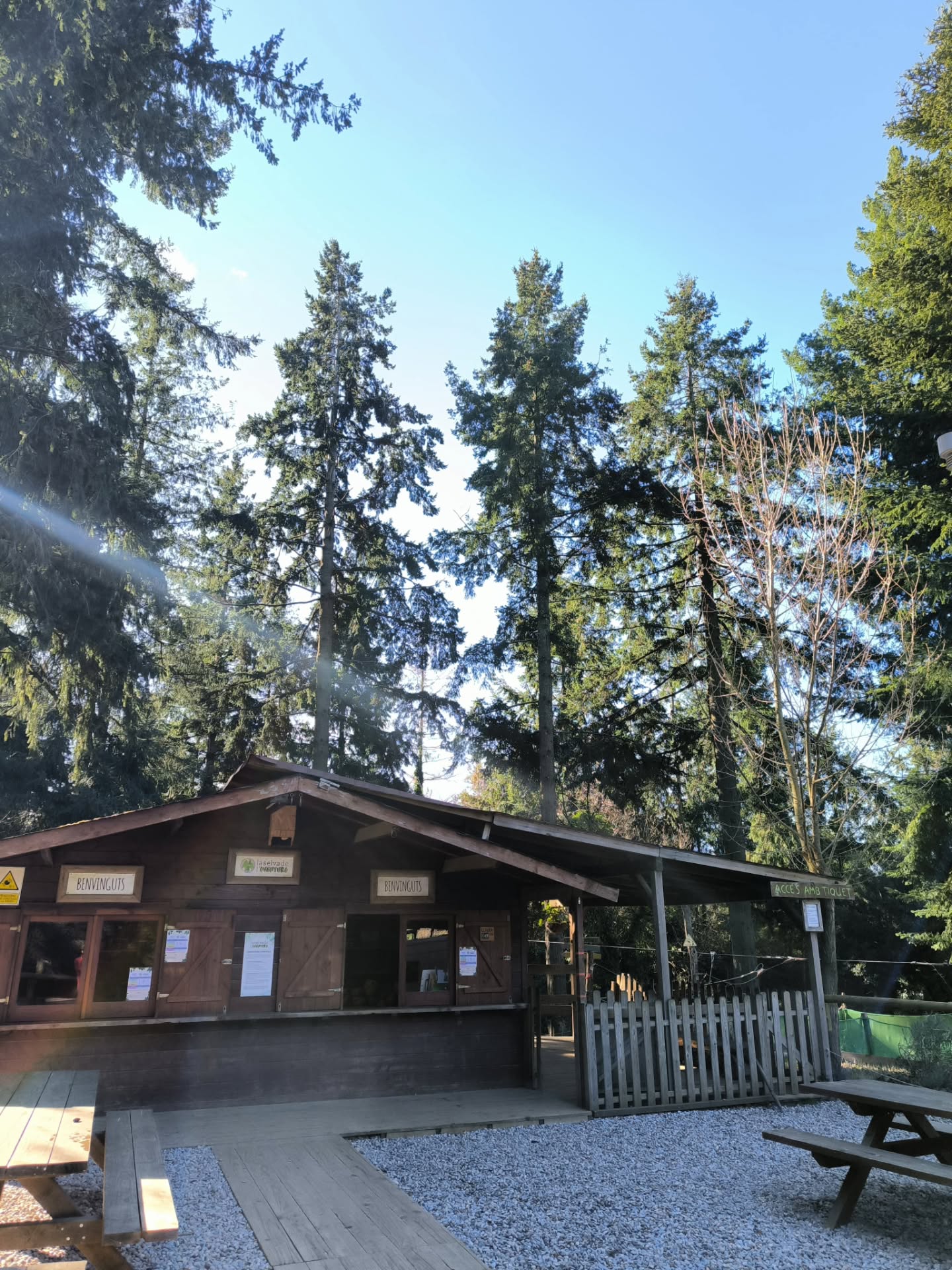 Bon dia, bon diumenge!🌞