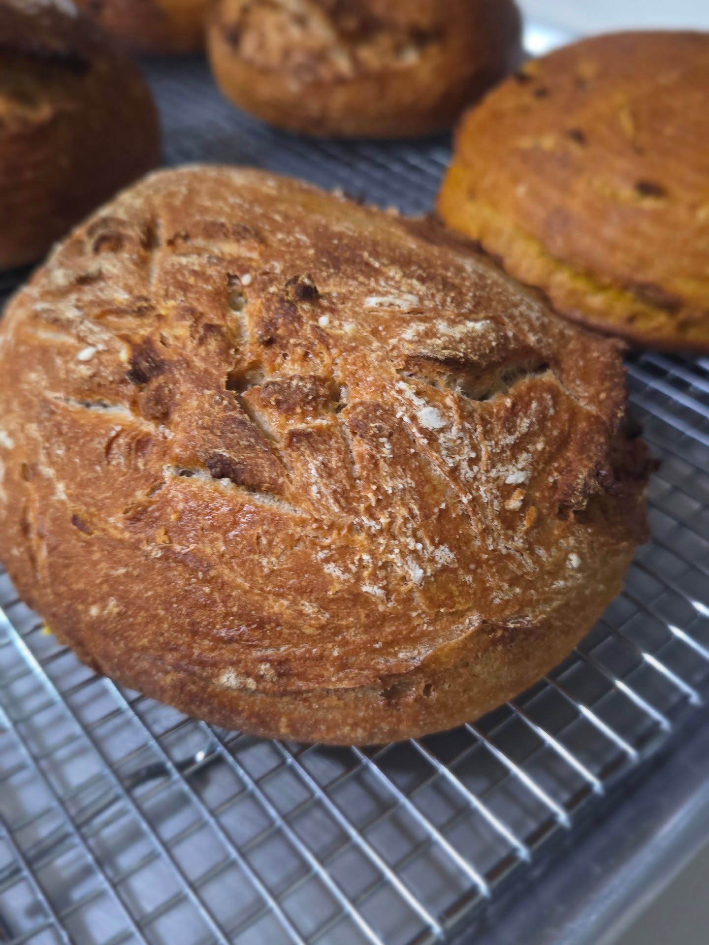 🌾✨ Seguimos horneando con mucho cariño en Amaranto
Estos días hemos estado muy atareados preparando sus pedidos, y queremos hacer una pausa para decir algo muy importante: ¡gracias!
Gracias por confiar en Amaranto, por elegir nuestros productos artesanales y por permitirnos ser parte de sus mesas.
Cada pedido que recibimos lo preparamos con dedicación, paciencia y mucho amor por lo que hacemos. 💛
Seguimos trabajando para ustedes.
#AmarantoBakeryHN #GraciasPorConfiar #PanArtesanal #HechoConAmor #ApoyaLoLocal