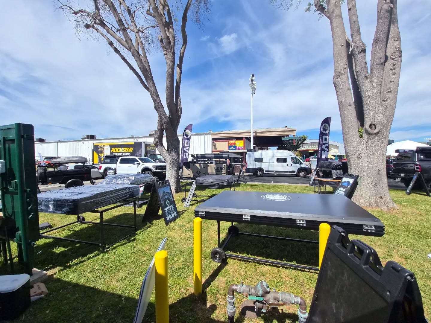 Showtime Tomorrow 🎯