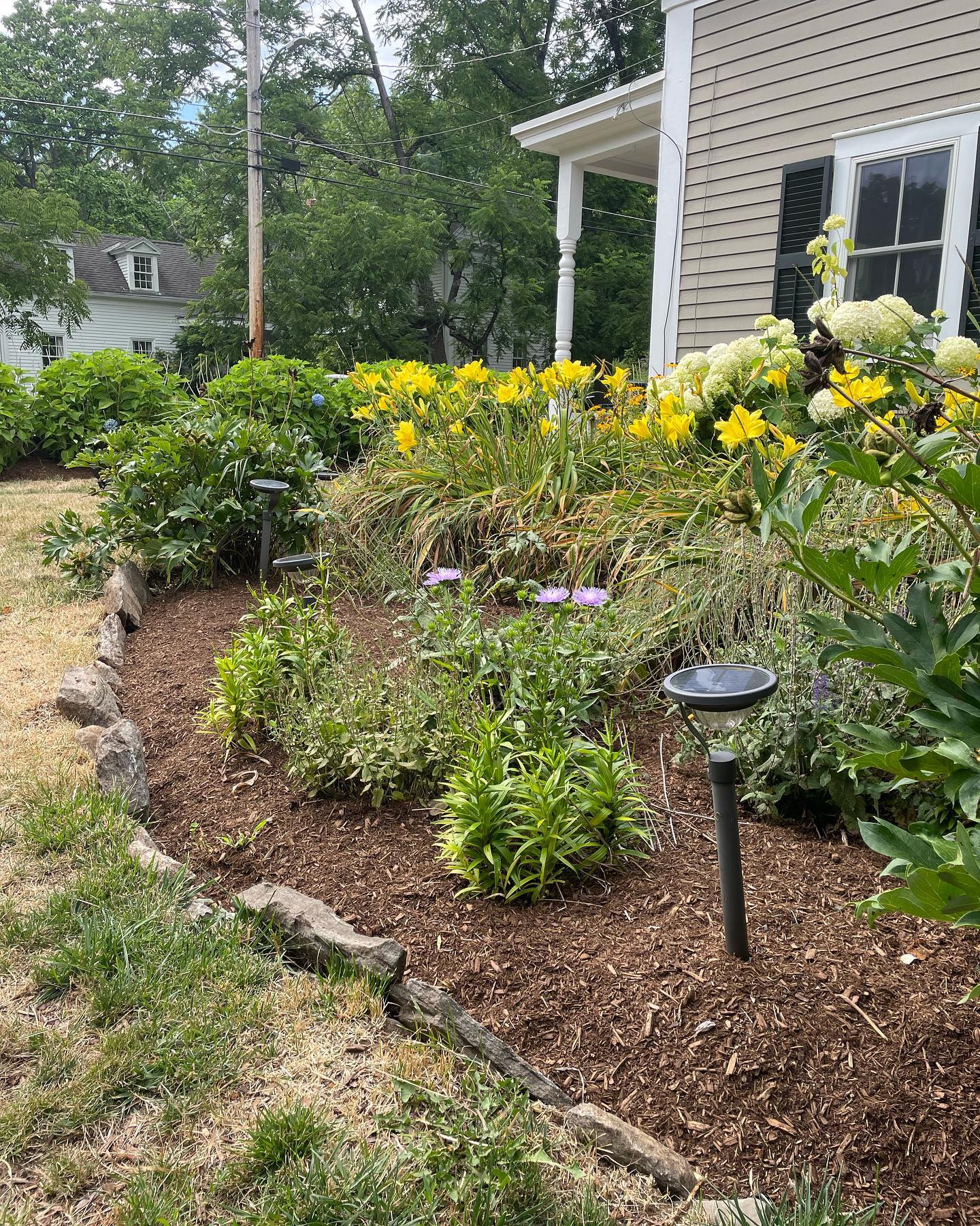 SWIPE to see the hidden potential in this happy customer’s property! 🤠
Find the inner perfection in your property with High St. Lawn Unlimited garden design services.
Read more by going to WWW.highstlawn.com/garden-design, link in bio!
#concordma #hslu #highstlawnunlimited #flowers #landscaping #lawncare #planting gardening #lawnmower #color #summer #stripenation #lawncarenut #lawncarenation
#lawncareservice
#landscapepainting
#landscapes
#yards #mowers #zeroturn #lawncarelife
#landscapers #stripe #stripes #lawncarecommunity
#stripelifegear
#backyard #grass