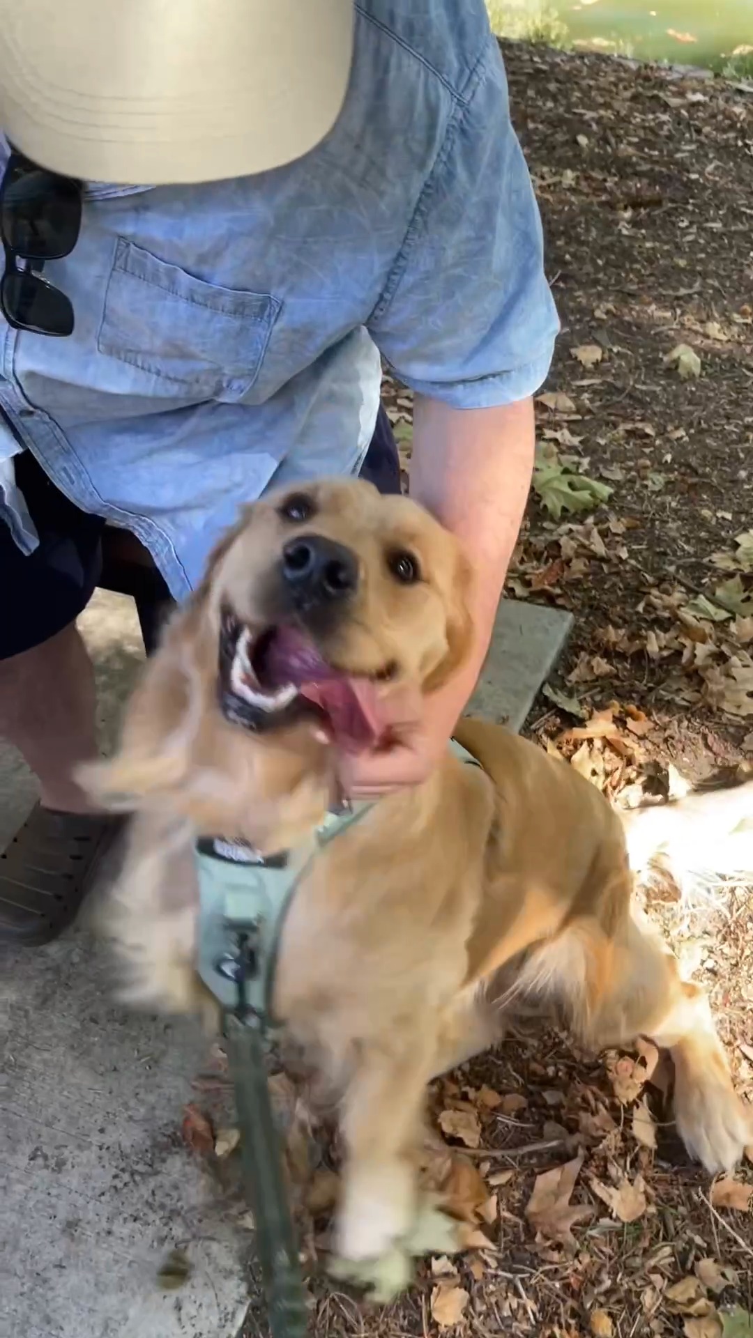 Throwback 3 May 2025.
Very excited the day before our 1st official @themay50k walk of 2025.
Will you join us this year? More deets coming soon...
#TheMay50K #WalkWithMeAndKoukla #MSAwareness #MultipleSclerosis #AdelaideEvent