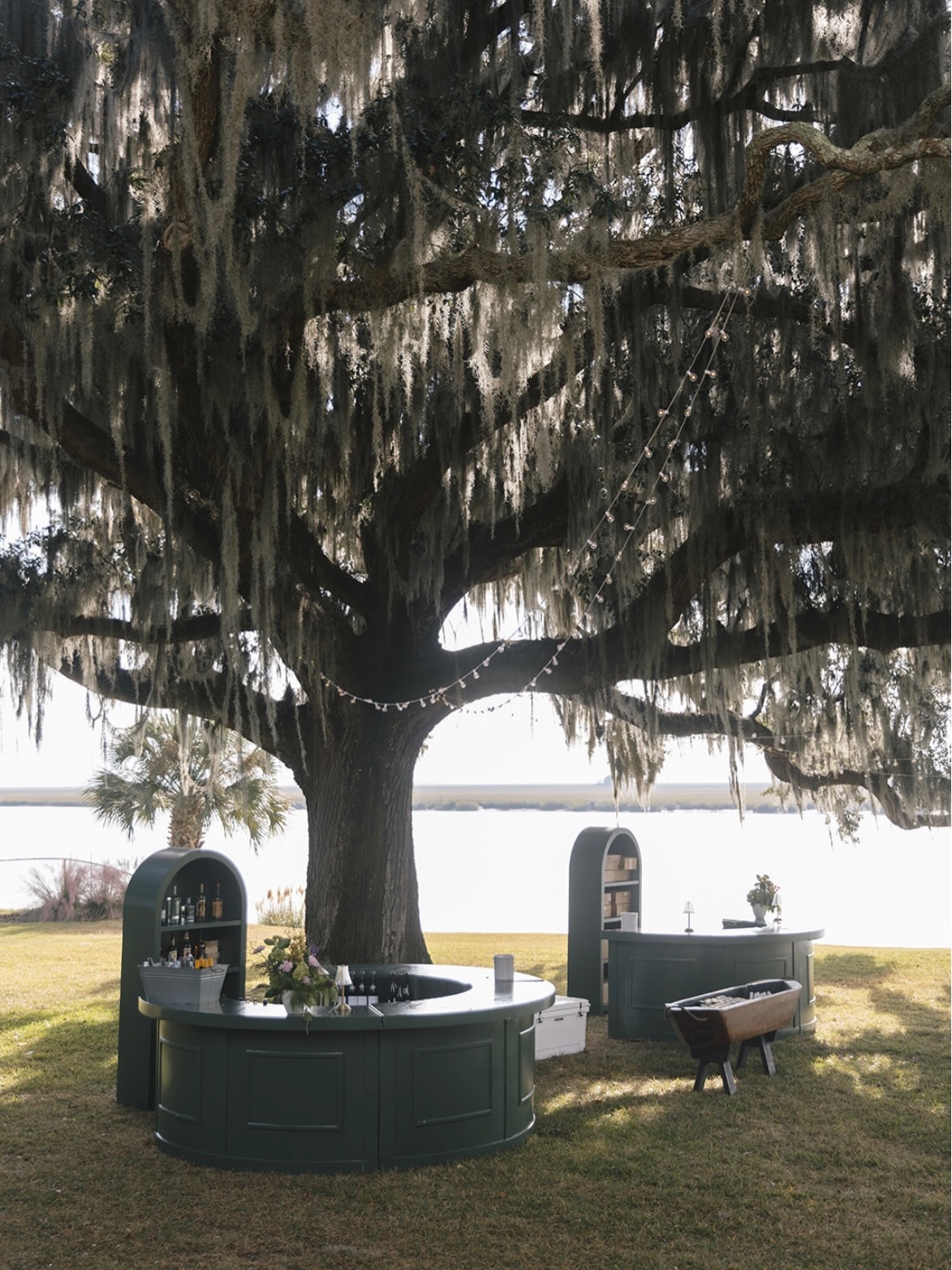 Savannah and the Lowcountry truly have some of the most beautiful wedding venues in the world. From historic ballrooms to waterfront views and moss-draped oaks, couples here are absolutely spoiled for choice.
The best part? No matter your style, there’s a venue that tells your love story perfectly. 🤍
Photographer 1: @sabrinakthomasphotography at @beaulieuweddings
Photographer 2: @bronstonphotography at @jekyllclub
Photographer 3: @esthergriffinphoto at @staybardo
Photographer 4: @meredithcampbellphoto at Forsyth Park
Photographer 5: @calliebealeharper at @fordfieldandriverclub
Photographer 6: @bronstonphotography at @perrylanehotel
Photographer 7: @bronstonphotography at @bethesdaacademyweddings
Photographer 8: @mariannelucille at @700wilmington
Photographer 9: @eveyarbroughphoto at @mackeyhousesavannah
Photographer 10: @mariannelucille at @westinsavannah
#savannahwedding #lowcountrywedding #weddingplanner #weddingvenue #weddingdesign