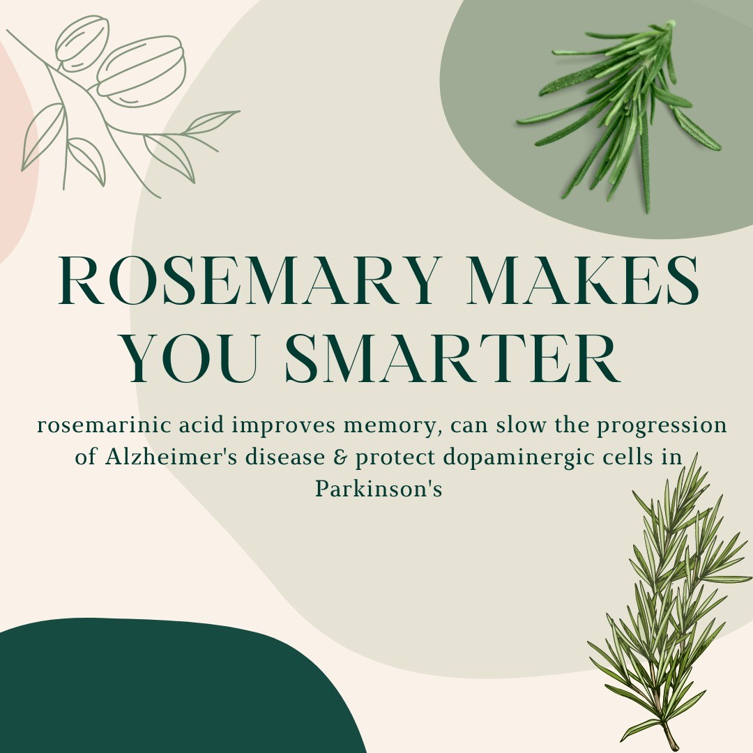 Pt 1: Did you have any idea what this common kitchen herb can do?! Rosemary is a powerful medicinal plant with many proven health benefits. Keep swiping to get an idea of all the amazing things Rosemary can offer!
Remember, only a medical professional trained in herbal medicine can help you find a safe and effective product & dosage. All herbs, while natural, have risks and dangers when not used responsibly.
#rosemary #herbalmedicine #ascensionhealthcenter #naturopathicmedicine #naturopathy #herbalism #fightcancer #fightdepression #antiaging #foodismedicine