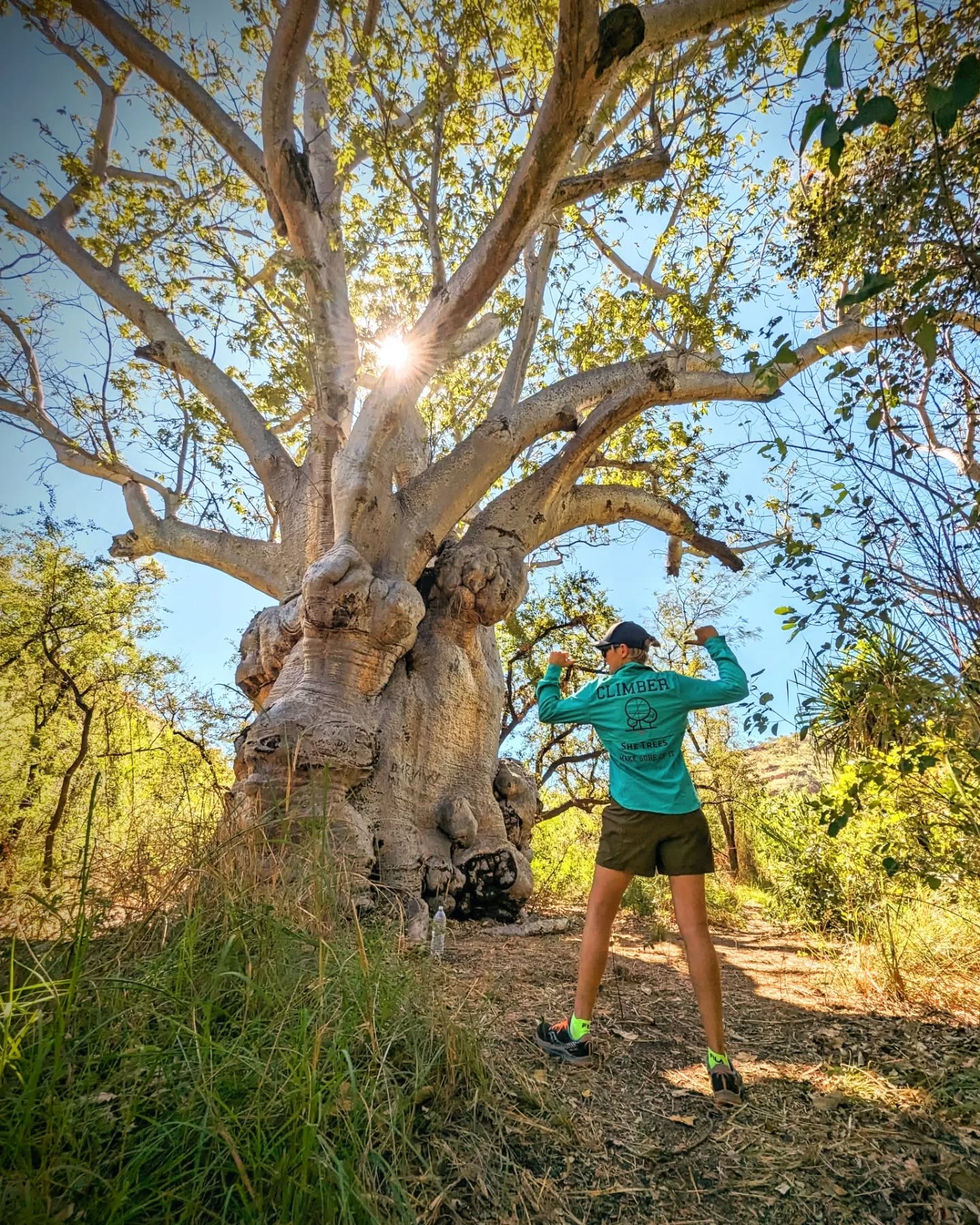 BOAB TREE Appreciation post! Adansonia gregorii, commonly known as the boab and also known by a number of other names, is a tree in the family Malvaceae, endemic to the northern regions of Western Australia and the Northern Territory of Australia.
Some of these trees are hundreds of years old. They have tear outs, large wounds, cankers and all kinds of "defects" but isn't that what getting old is all about?!
Such beautiful trees in this part of Australia, we're so lucky to have them still standing 🤩
#treeappreciation
#arborist #boabtree #femalearborist #femalebusiness #oldtree #femaleclimber
