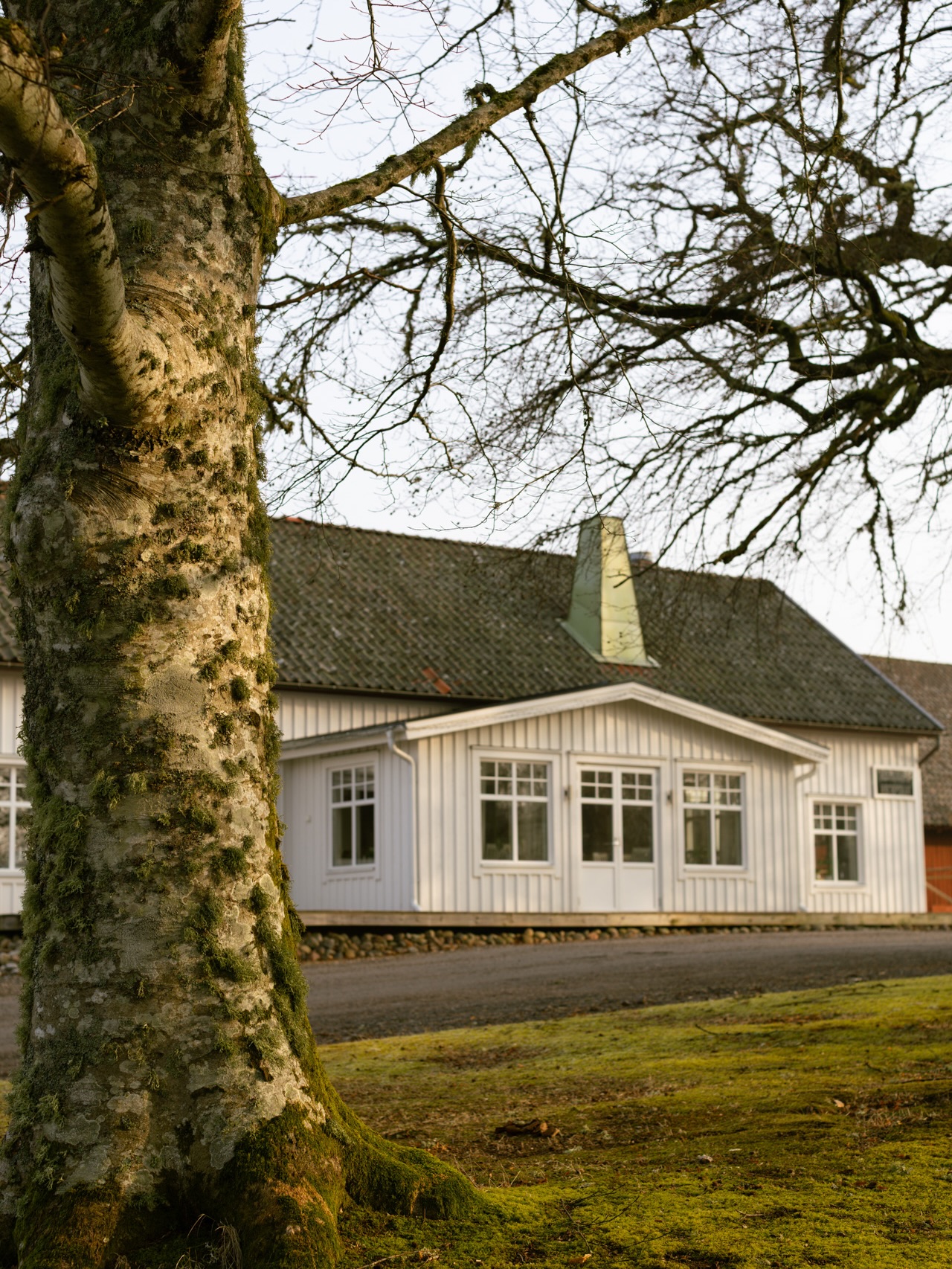Våren är snart här och naturen runt Hensbacka vaknar till liv 🌱☀️
Hos oss kan du verkligen uppleva lugnet, tystnaden och den där känslan av att vara långt bort från vardagen, men ändå nära allt. 🤩
Ge dig själv en paus i naturen med vårt vandringspaket 🥾Perfekt för dig som vill fylla på med ny energi.
Läs mer och boka på www.hensbackahotell.se