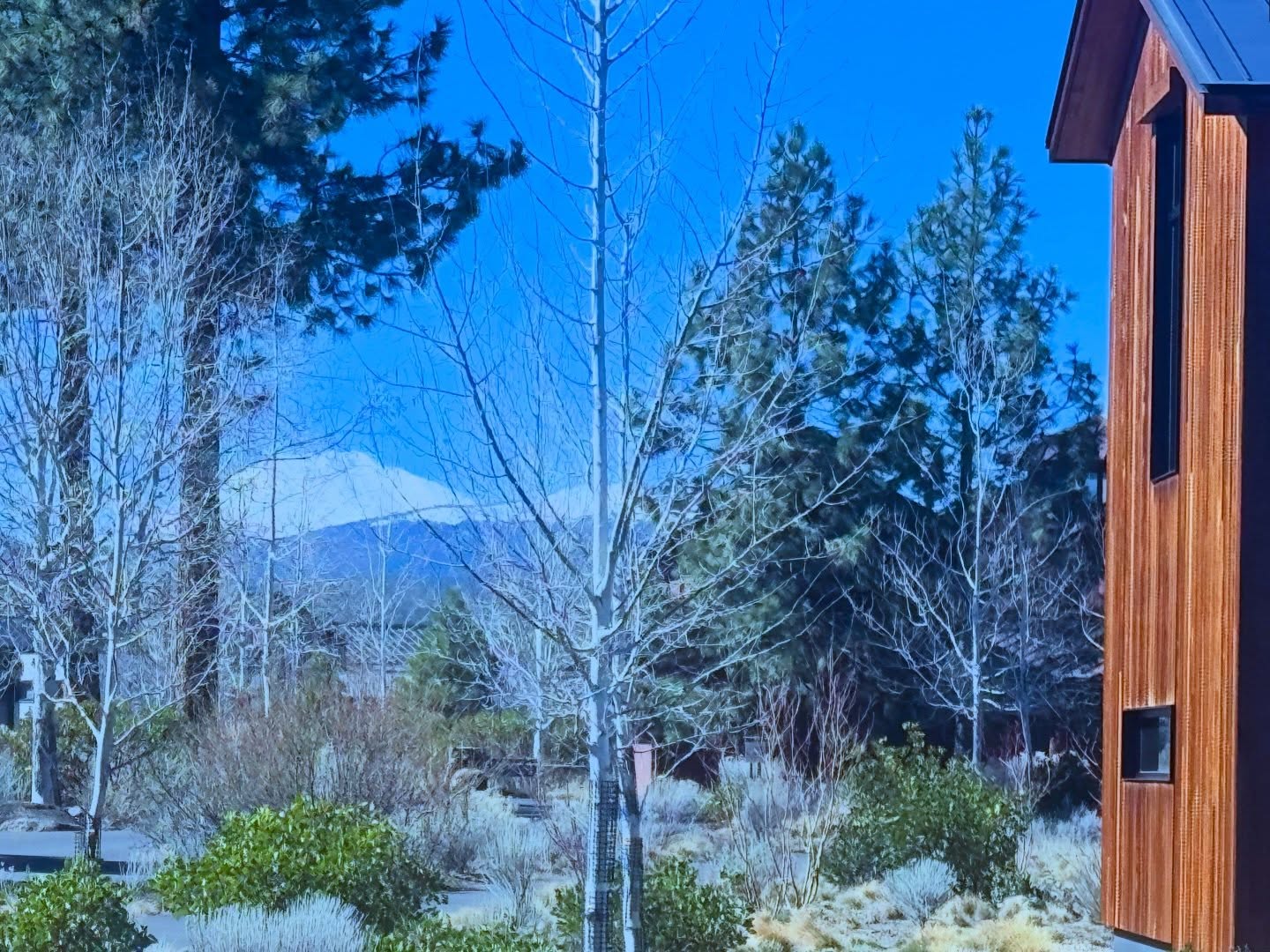1. Views of Mt. Bachelor, OR from the living room window in residential project with cedar wall
2. Entrance with some beautiful Shou Sugi Ban from @nakamotoforestry FTW
3. X-Ray photos from the second floor office
4/5. Some more lower level double-height ceiling photos and the ability to envision space even before it begins is what we live for
This is shaping to be a stunning space and thank you for following the journey that started in June, 2025
XO,
Biba Studio Interior Design & Beyond
📸: client and GC 🙏🏽