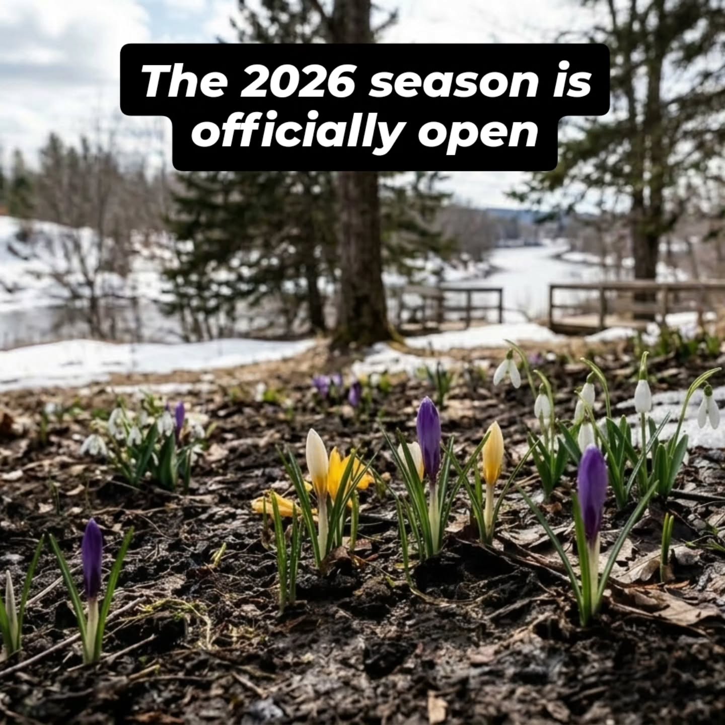 Winter is officially on its way out and I’m more than ready for the spring rush. ☀️🌱
With the temperatures climbing and spring starting this weekend, I honestly can’t wait for the season to get moving. Since things are already starting to slowly fill up, now is definitely the time to reach out if you want to grab a spot on the schedule.
To keep things easy, I offer a few different ways to handle the season—you can do a lump sum payment, monthly billing, or just pay per service with a card on file. Let’s get to work and get your property ready for the warmer weather!
#Landscaping #Spring2026 #Moncton #Riverview #Dieppe