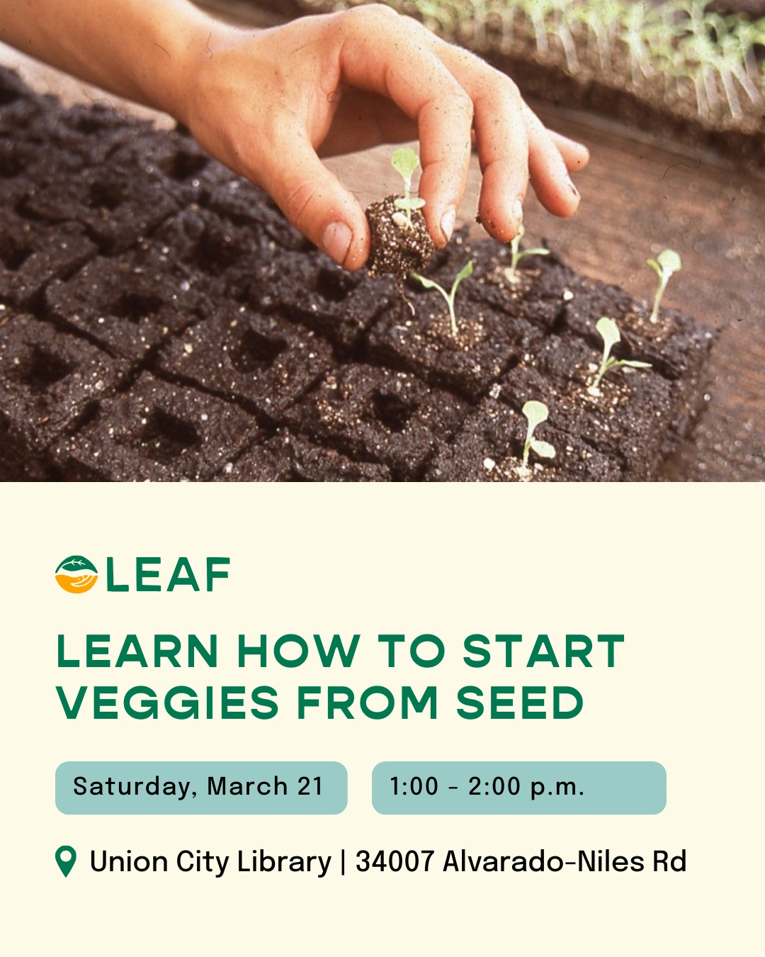 Get your hands dirty and discover how to grow tasty veggies right from tiny seeds!
It's March and time to start thinking about your summer vegetable garden. Starting your veggies from seed can be more economical, provide you with many more varieties than you can find in a nursery, and give you the satisfaction of proudly saying " I started that from a SEED!"
Join us in learning timing and techniques of seed starting and how to maintain and plant up your seedlings. Participants will go home with two 6-packs of seeds.
RSVP through link in bio.
#eastbaygardening #veggieseed #unioncity #fremontca #library #regenerativeagriculture