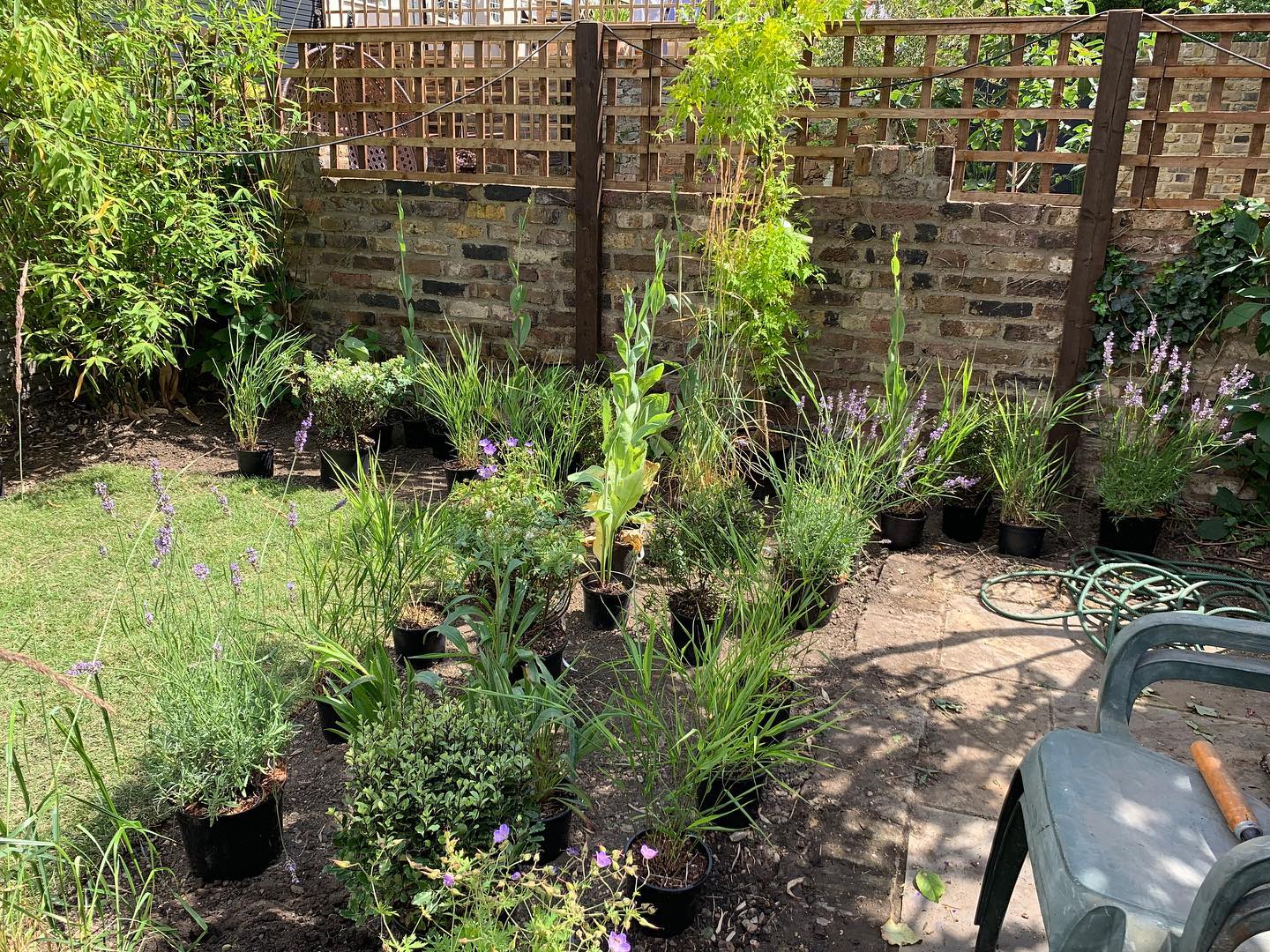 Witness the magic of planting as we carefully select the perfect spot for each plant to bloom and thrive. Step into our garden sanctuary and let the beauty of nature inspire your soul. 🌷🌻 #PlantingParadise #GrowWithGrace #LondonPlants #GardeningTips #Plant