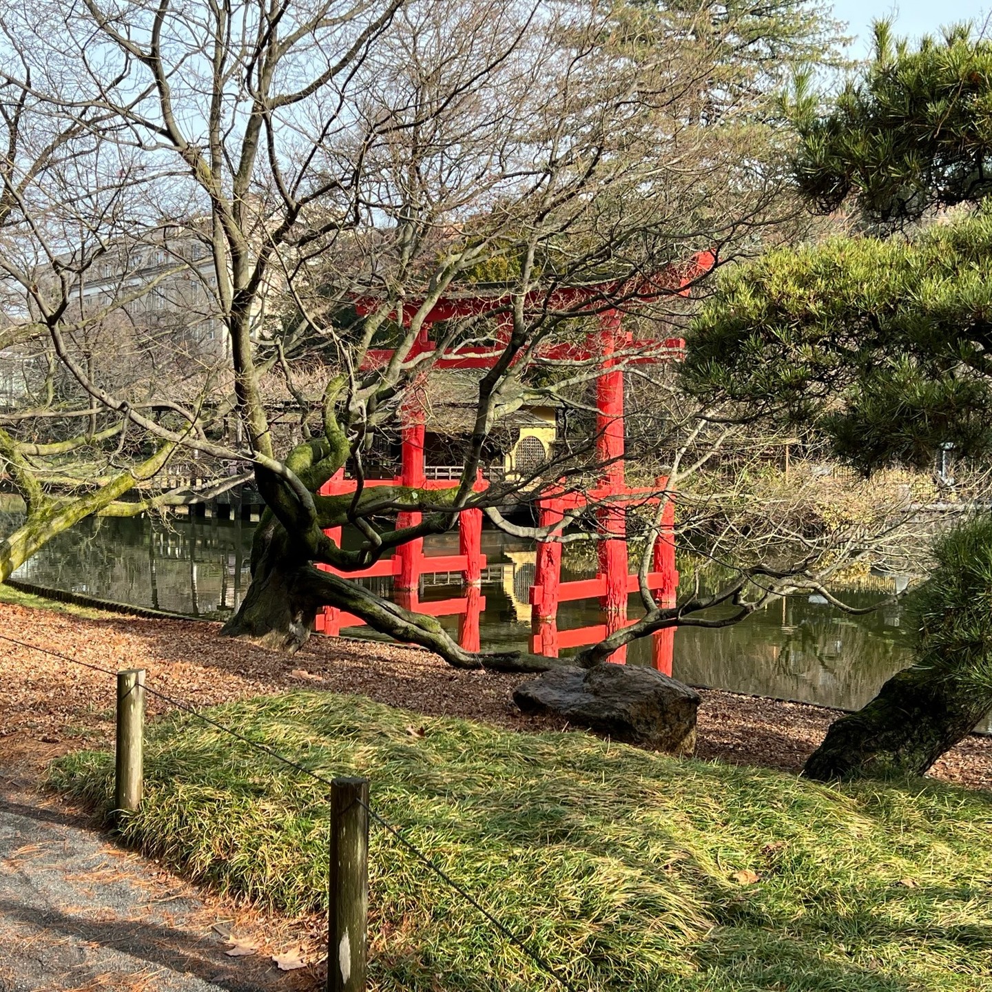 In reflecting on the past few years since launching Studio Serrette, I realized how much I was impacted by growing up across the street from Prospect Park and within walking distance to the Brooklyn Botanic Garden. These iconic green spaces were designed by the likes of Frederick Law Olmsted, Takeo Shiota, and Michael Van Valkenburgh Associates.
The importance of green spaces in urban environments cannot be understated. They provide both inspiration and sanctuary from the intensity of a bustling city.
#michaelvanvalkenburghassociates #takeoshiota #fredericklawolmsted
