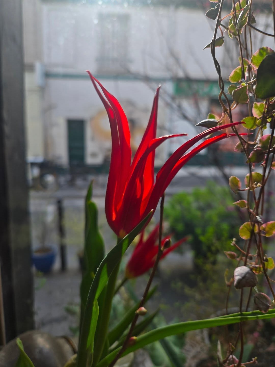 From @lobservatoire.paris