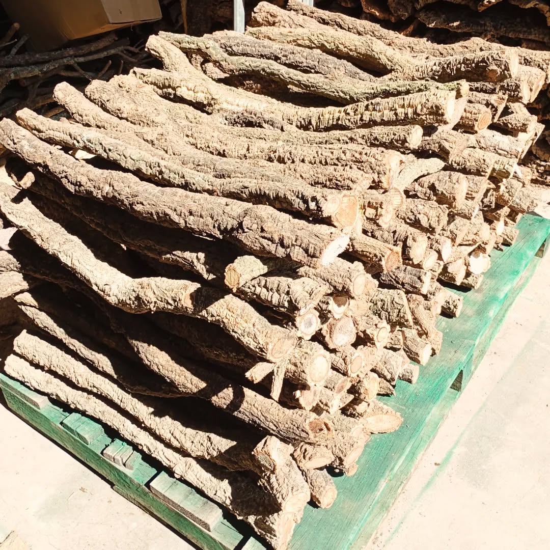 Work in progress...
Cork Oak Branches 1 m long without ramifications