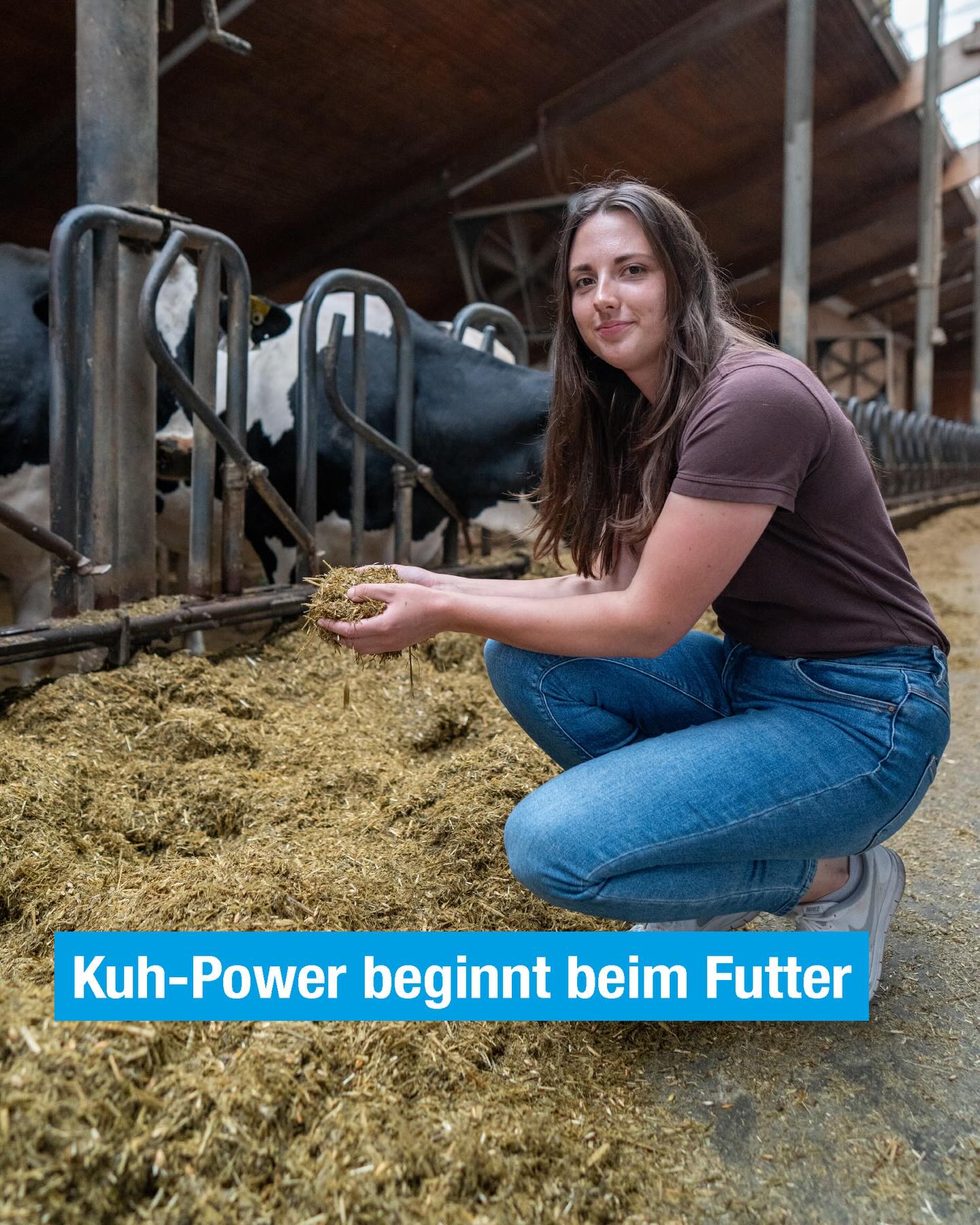 Gesunde Kühe brauchen das richtige Futter – ausgewogen, frisch und voller Nährstoffe 🌱 🌾🐄
#dairyq #futter #kühe #landwirtschaft #trainee