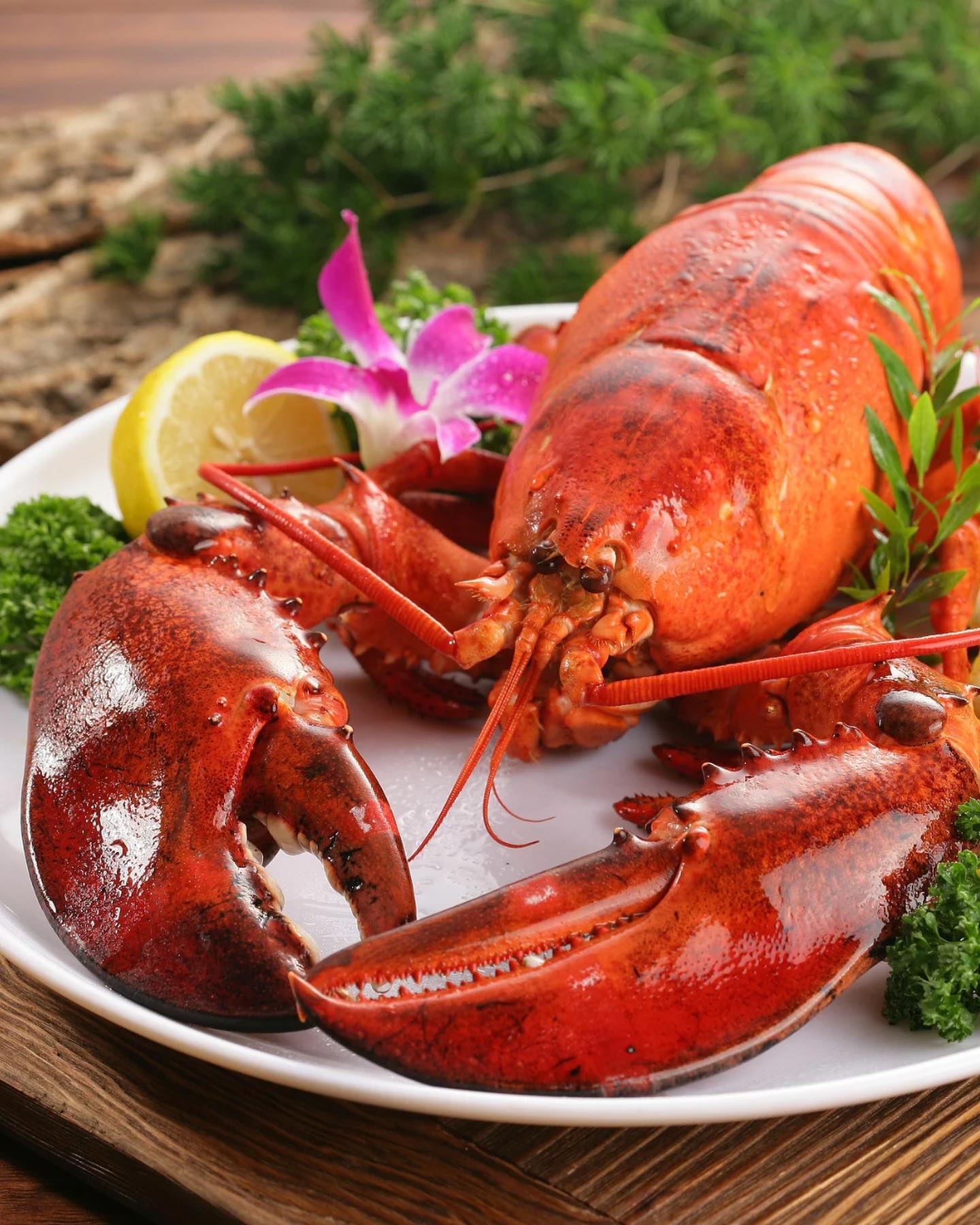 Zondag is de ideale dag om niet alleen onze geliefde moeders, maar ook onze fantastische oma's, schoonmoeders en beste vriendinnen te verrassen, want zoals het gezegde luidt: de liefde gaat door de maag! 🌸💕
Heb je plannen om haar te verrassen? Waarom zou je niet kiezen voor zelfgemaakte sushi, kreeft, oesters of coquilles? Dit zijn de favoriete zeevruchten van elke vrouw! 🥢🦀🐚