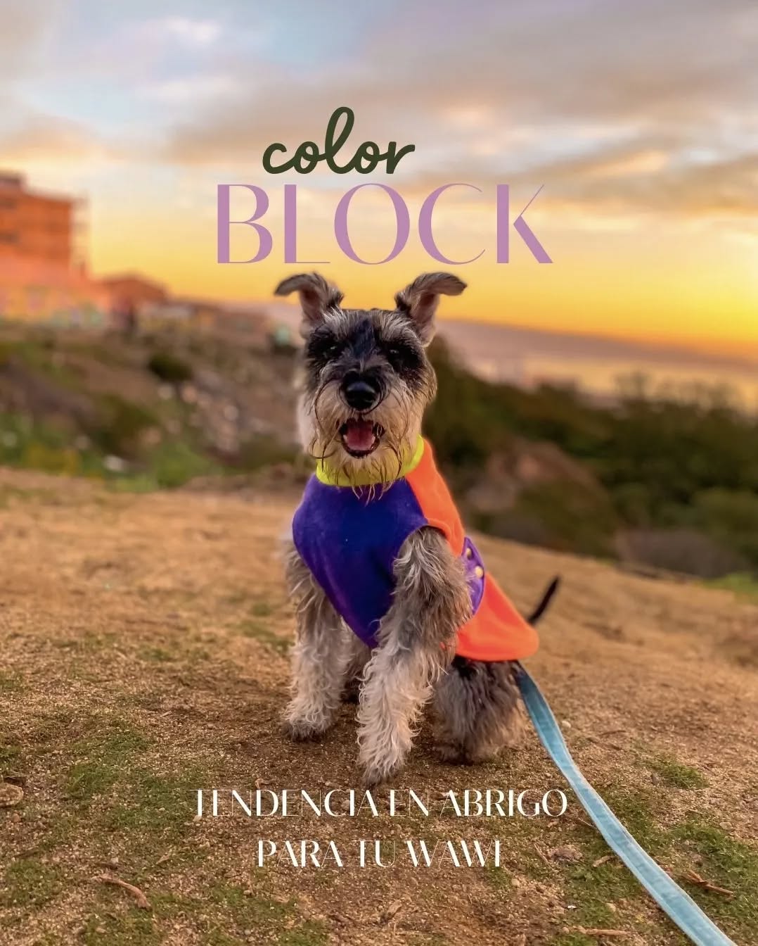 Holii 🐾 Ya conoces nuestro abrigo Color Block ? Esta confeccionado en suave polar y forro de jersey 100% algodón. ¡ Tu wawi🐶 estará más calentito que nunca!
No dejes que el frío detenga sus aventuras al aire libre. Nuestro abrigo les brindará el calor necesario para disfrutar de los paseos invernales sin preocupaciones. 😎🤫
#AbrigoParaPerros #ModaCanina #Invierno #Frio #TendenciasChile #Protección #Comodidad #Estilo #PerrosFelices #AmorCanino