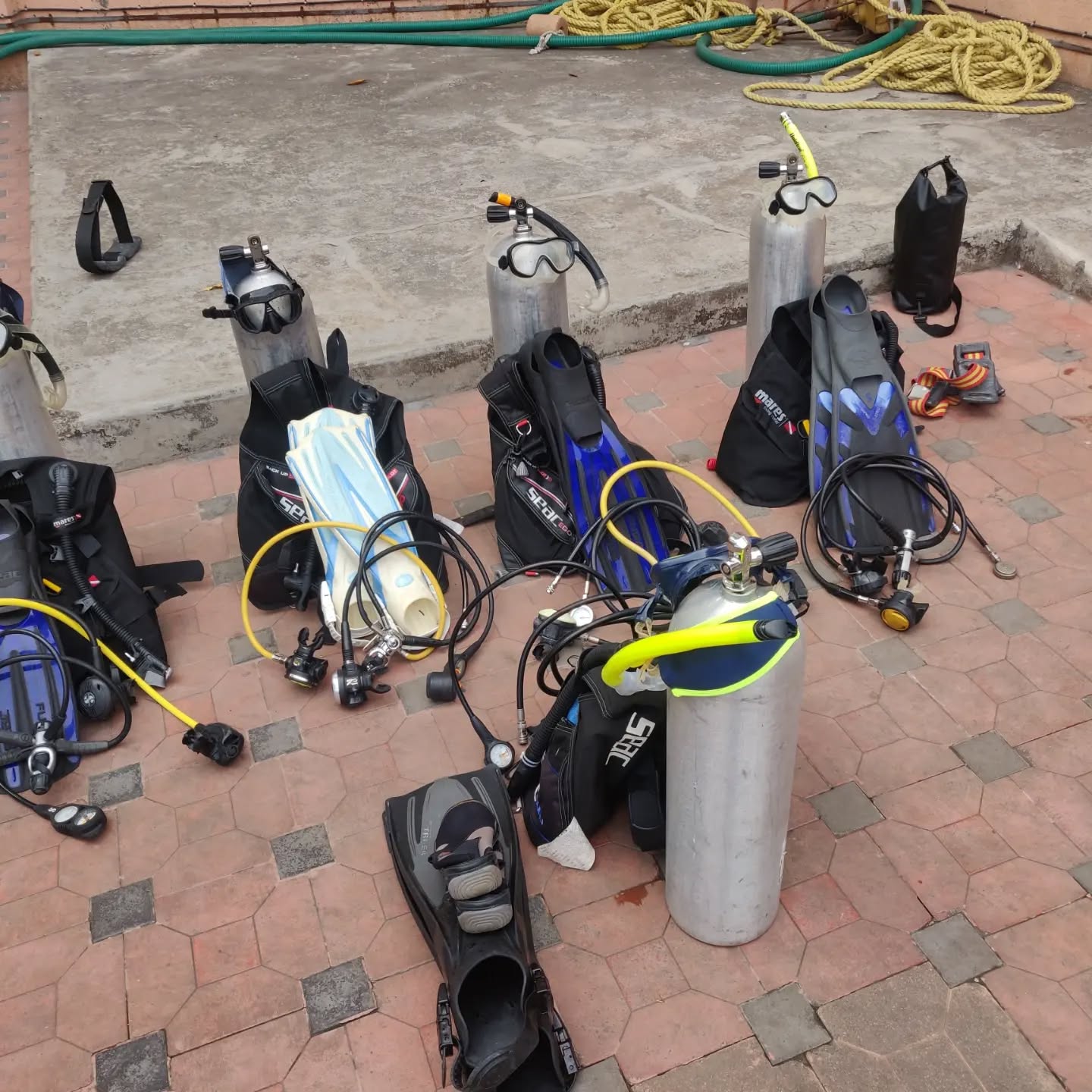 Our new bunch of students getting ready to take their first breath underwater.....
They head to the Maldives thereafter at our diving school to get certified as brand new open water divers.....
.
.
.
#maldivestrip #openwater #openwaterdive #scuba #scubadiving #pool #poolskills #poolparty #train #training